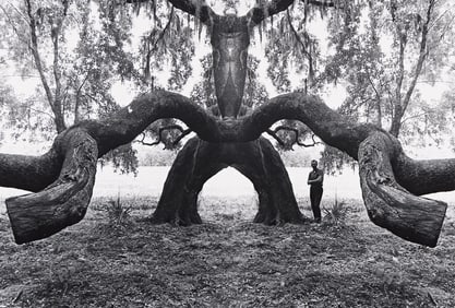 Jerry Uelsmann. Self-portrait with abstracted tree. Circa 1970.