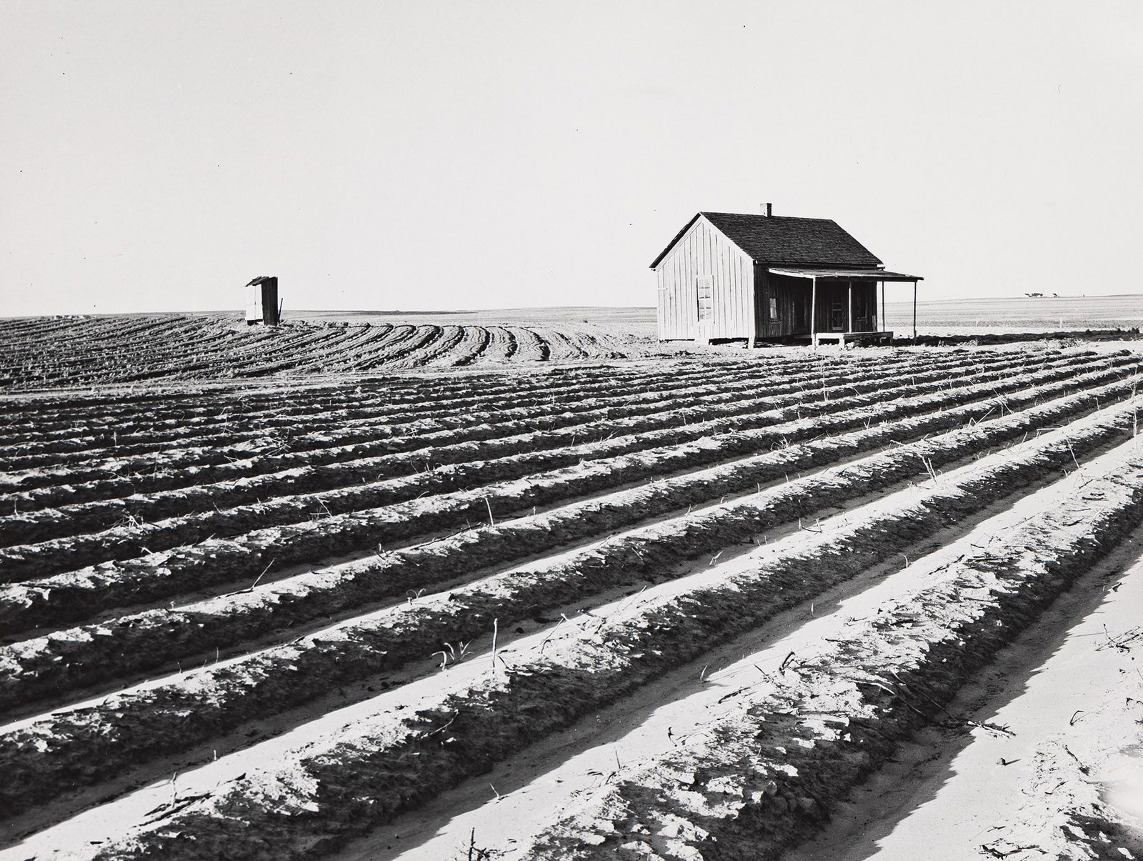 Dorothea Lange, Abandoned tenant house seen across tractored fields. Hall County, Texas, June 1938; (1 of 1)
