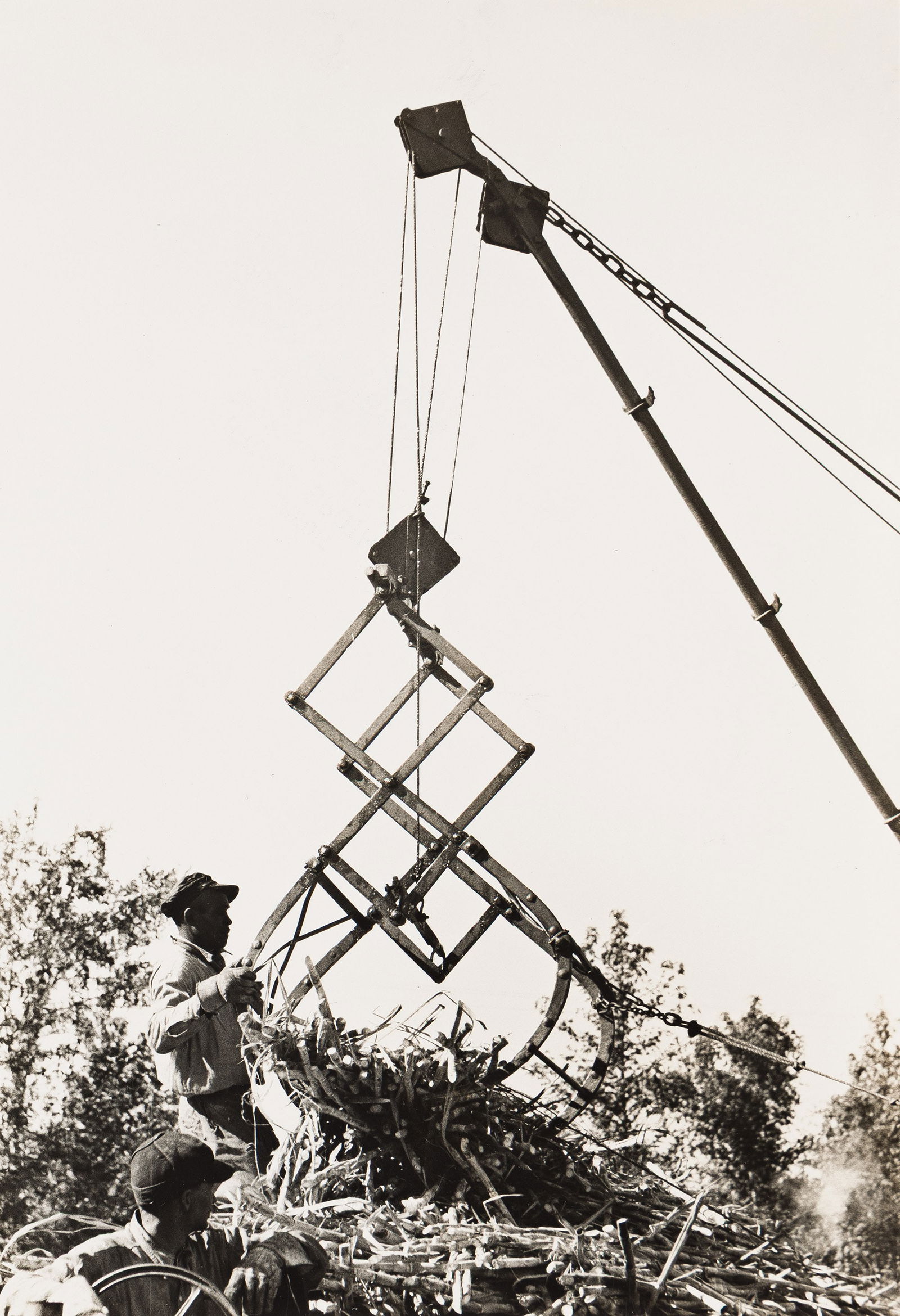 Russell Lee, A suite of 8 photographs documenting sugar cane farming in Louisiana, 1938. (1 of 8)