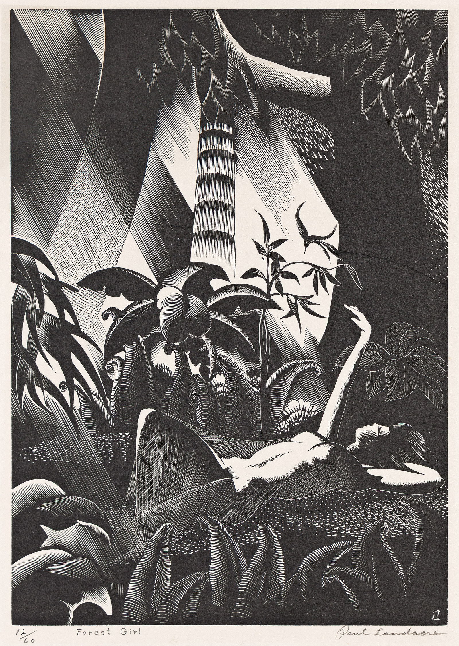 Paul Landacre, Forest Girl, 1933.: Paul Landacre(1893-1963)Forest Girl.Wood engraving on thin Japan paper, 1933Signed, titled and numbered 12/60 in pencil, lower margin. Wien 127.8 1/2 x 6 in. (21.6 x 15.2 cm.) Other notes: