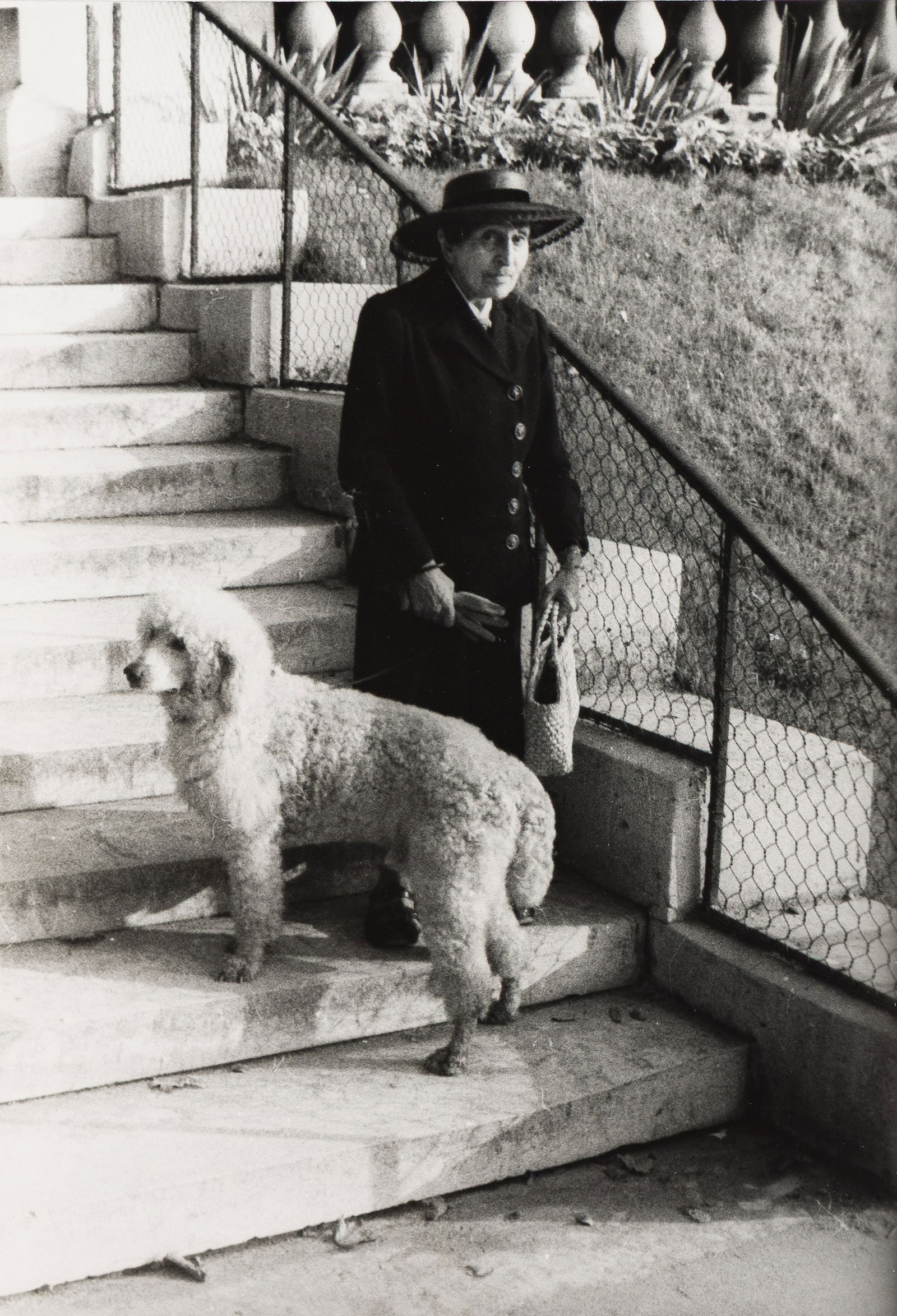 Carl Van Vechten, Portrait of Alice B. Toklas with Her Dog in Paris. October 7, 1949. (1 of 1)