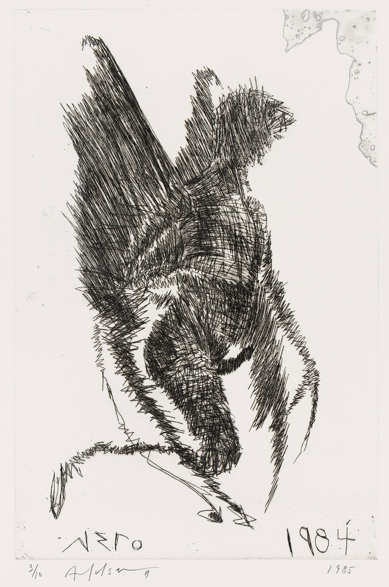 Carl Apfelschnitt, Nero 1984 (Devil). 1985. (1 of 1)