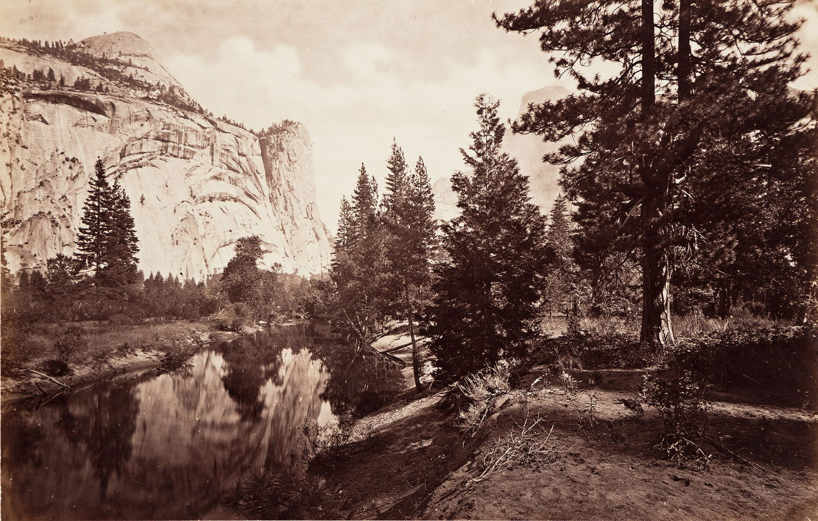 Eadweard Muybridge. Mariposa Grove of Mammoth Trees. Wm. H. Seward, 85 Feet in Circumference, 268 (1 of 2)