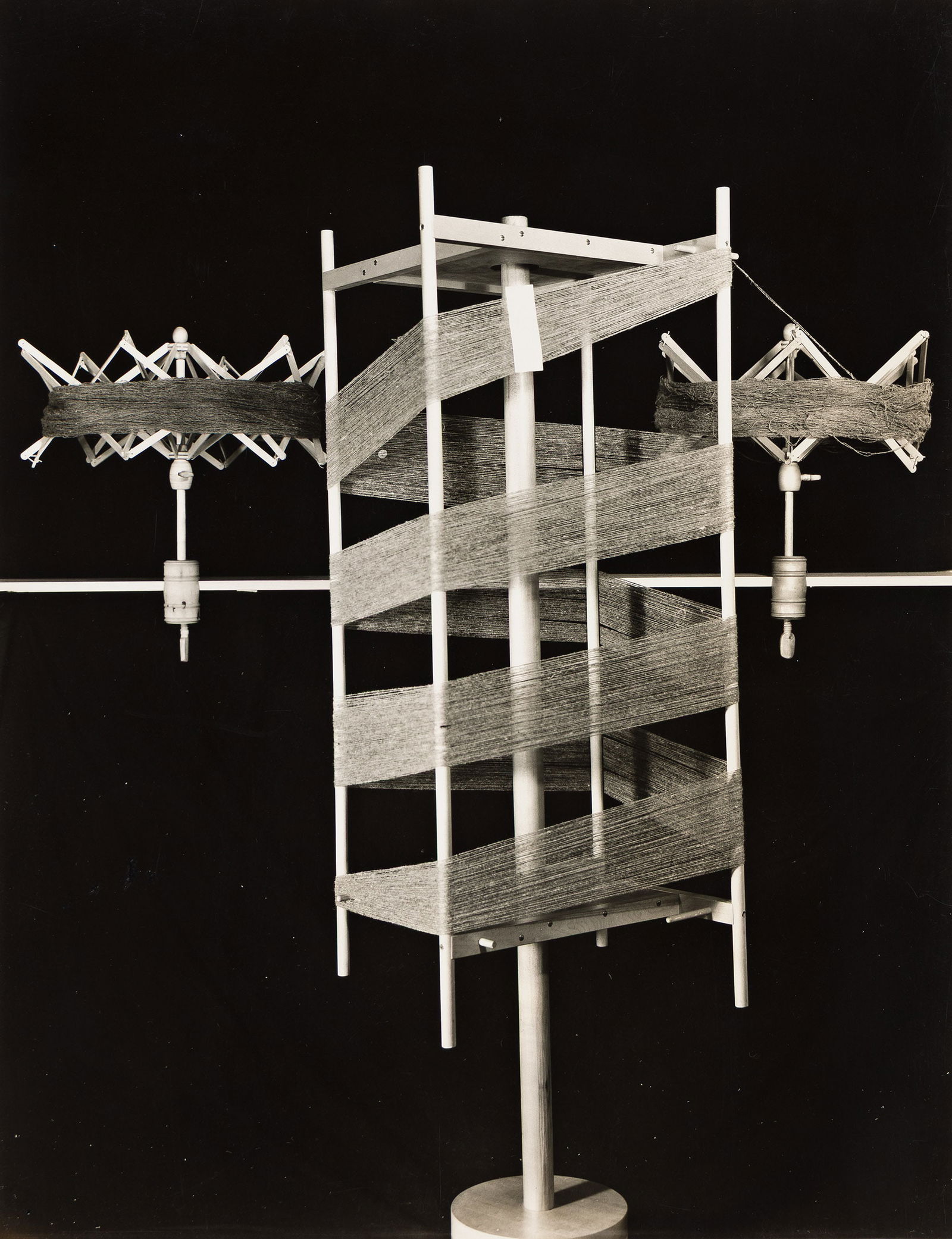 Imogen Cunningham. A Swift. 1939. (1 of 1)