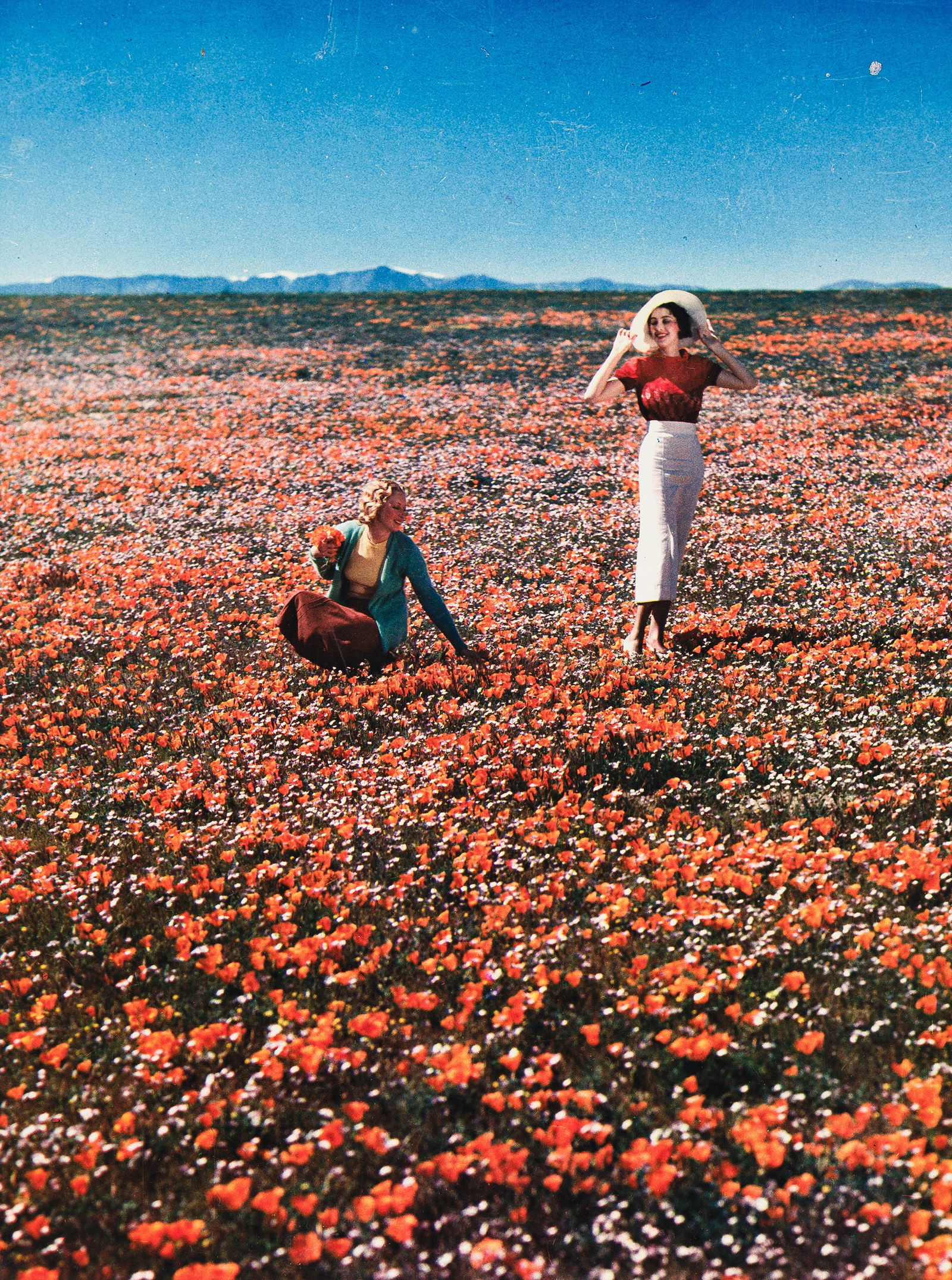 James N. Doolittle. In the Poppy Fields. Circa 1936.: James N. Doolittle1886-1954In the Poppy Fields. Circa 1936.Tri-color carbro printThe image 12 3/4 x 9 5/8 in. (32.4 x 24.4 cm.), the sheet 17 1/4 x 13 1/4 in. (43.8 x 33.7 cm.), the mount 21 1/2 x 17