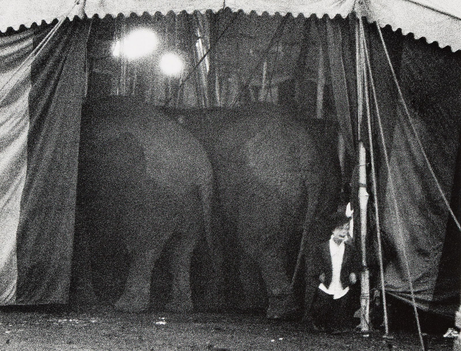 Bruce Davidson. Circus Dwarf, Palisades, NJ. 1958; printed 1970s. (1 of 1)