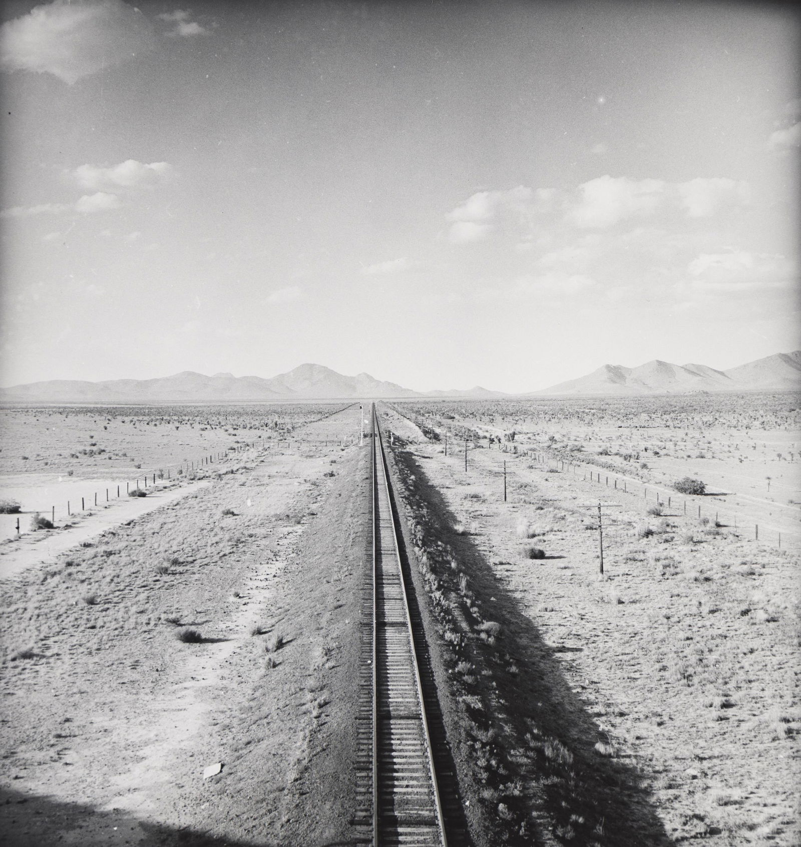 Dorothea Lange. Southwestern New Mexico. 1938; printed circa 1970. (1 of 1)