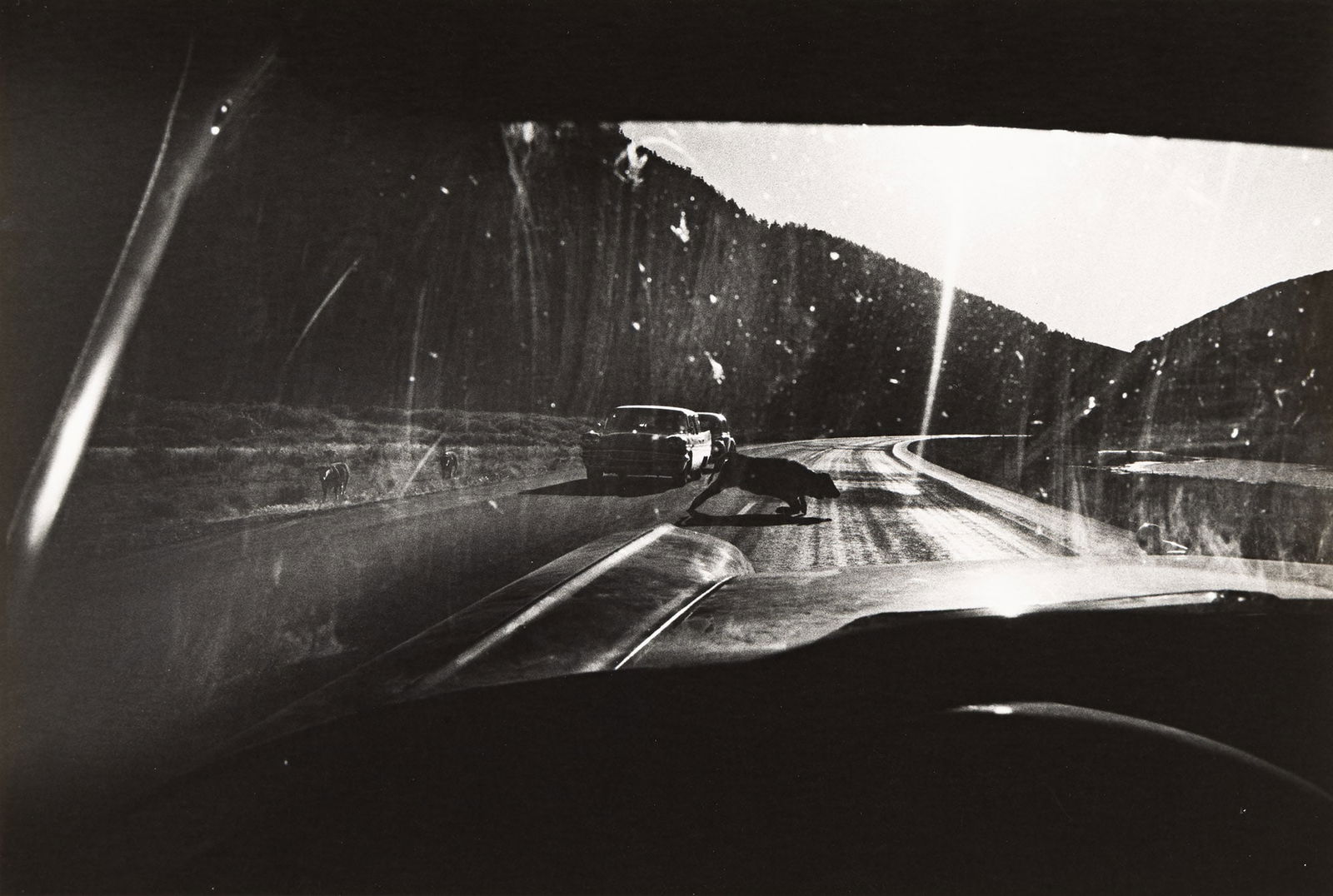 Garry Winogrand. Utah. 1964. (1 of 1)