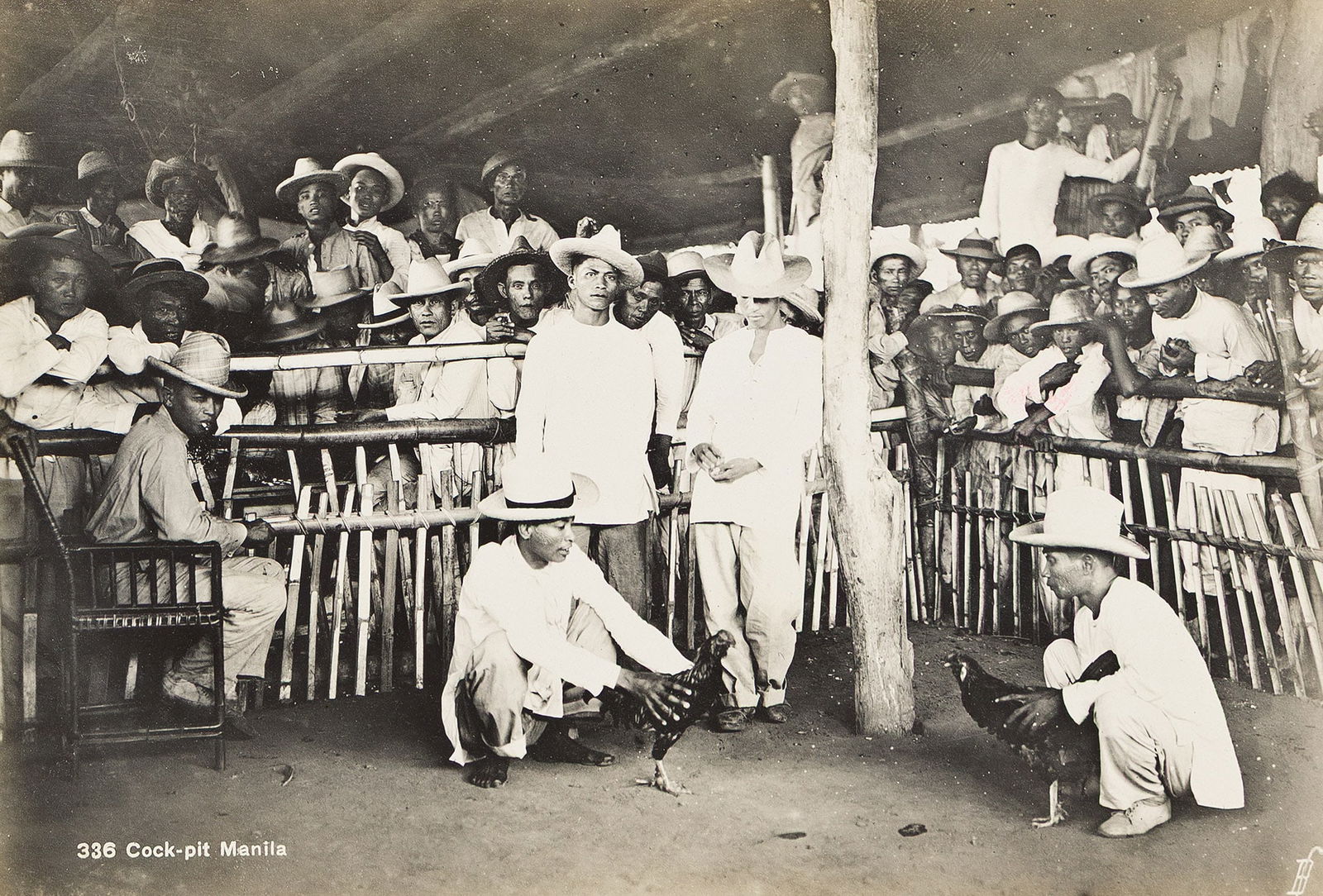 An album with 57 photographs from the Philippines. 1905.: An album with 57 photographs from the Philippines. 1905.Silver printsThe photographs include landscapes and architectural studies of municipal and domestic buildings in both cities and the rural scene