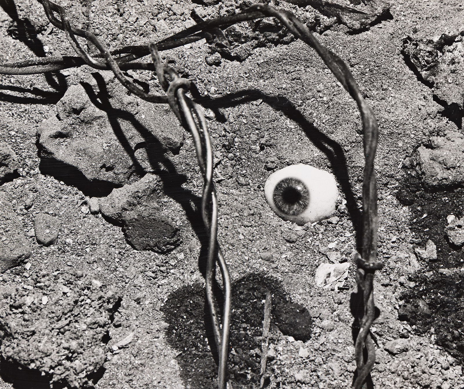 Nathan Lerner. Eye and Barbed Wire. 1939; printed 1973. (1 of 1)
