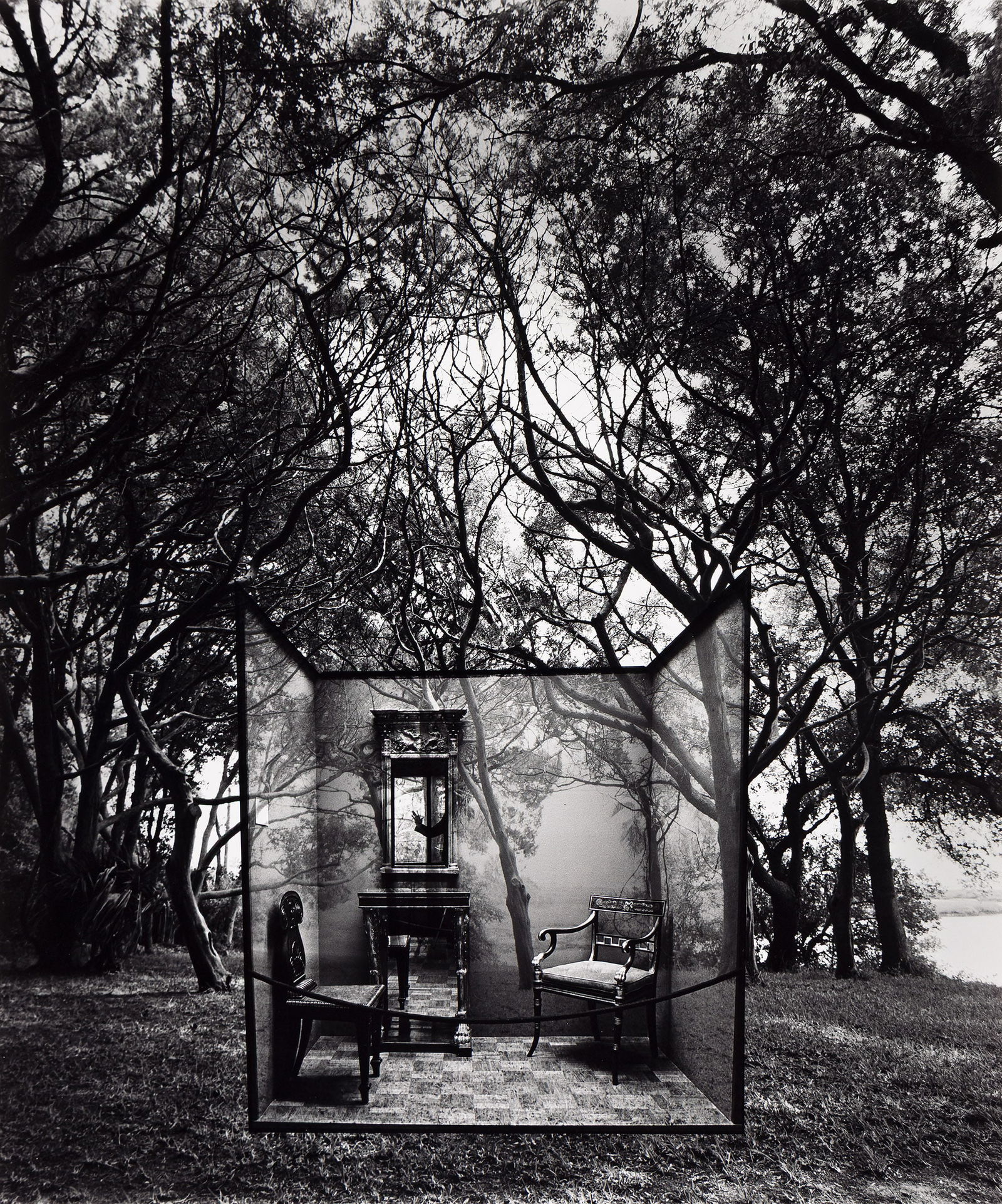 Jerry Uelsmann. Untitled (room in forest). 1978. (1 of 1)