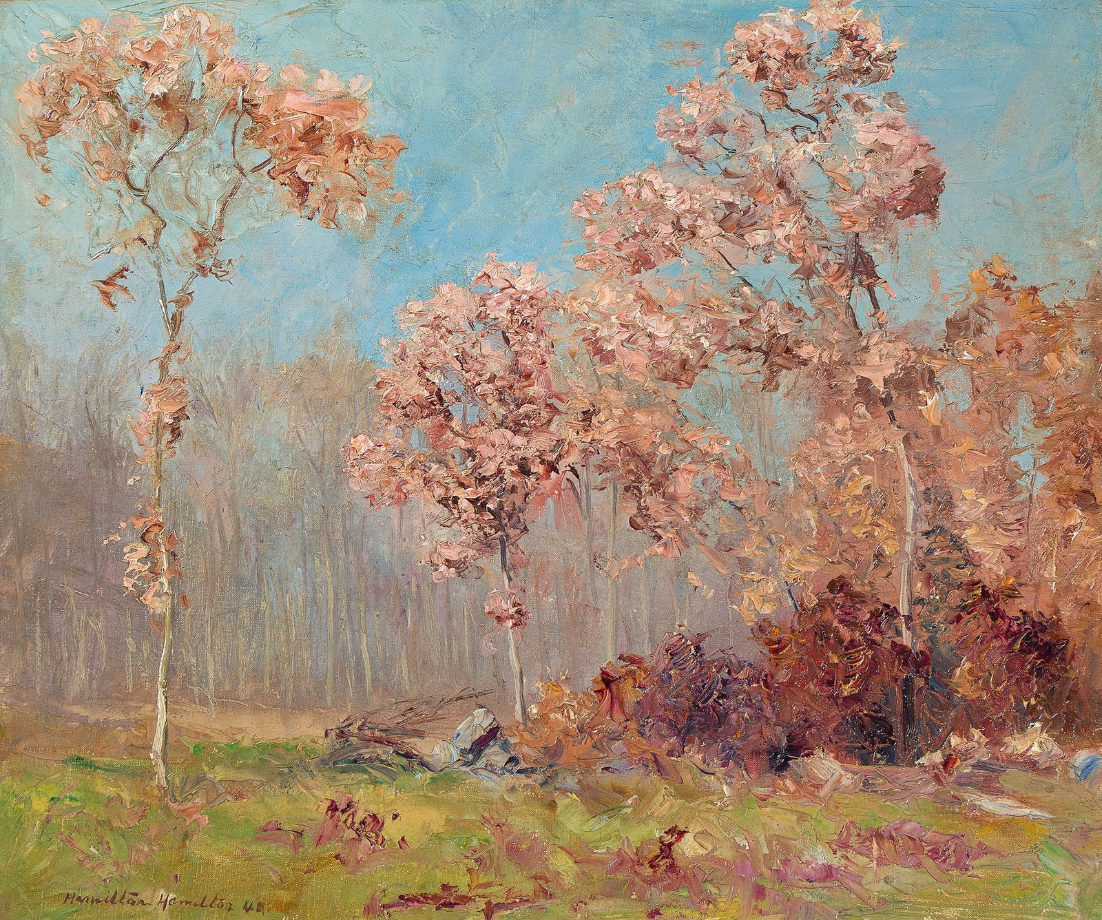 Hamilton Hamilton (1847-1928), Blooming Trees in a Clearing. (1 of 1)