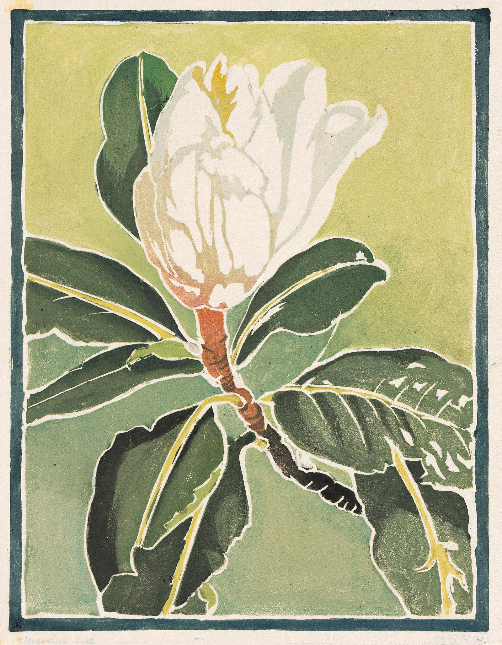 William S. Rice (1873-1963), Magnolia Bud, circa 1925. (1 of 1)