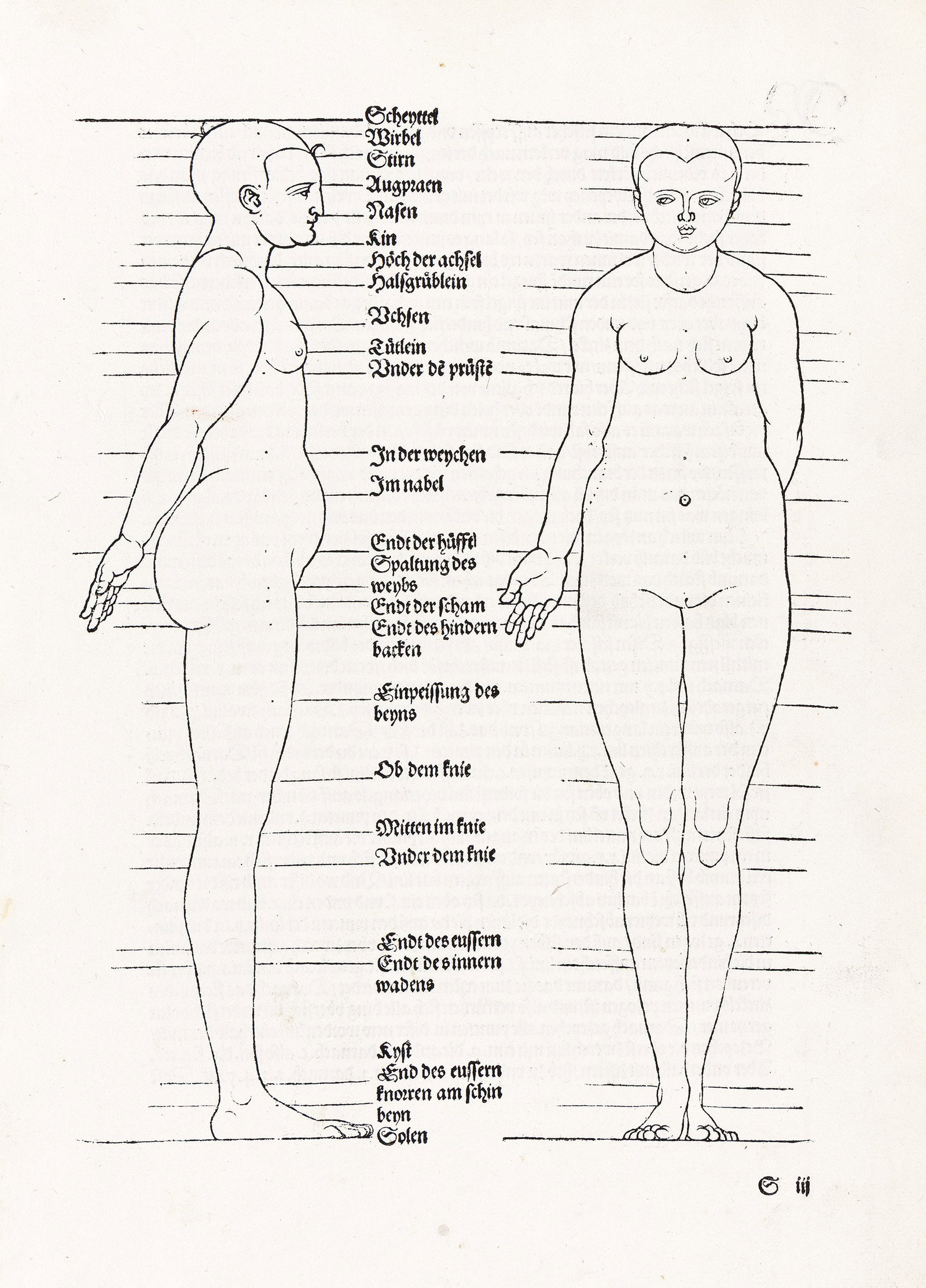 Albrecht Dürer (1471-1528), Vier Bücher von menschlicher Proportion, 1528. (1 of 8)