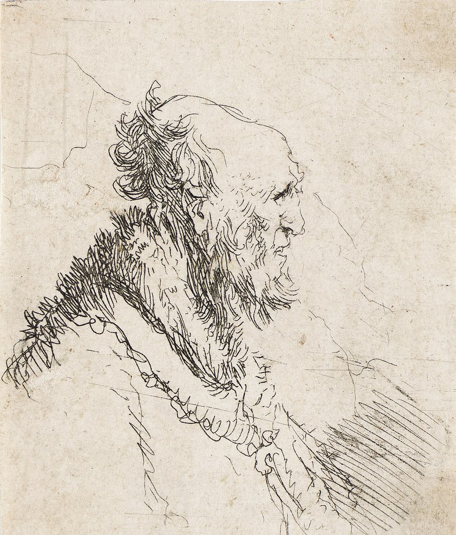 Rembrandt van Rijn (1606-1669), Bald Old Man with a Short Beard, in Profile Right, circa 1635. (1 of 1)