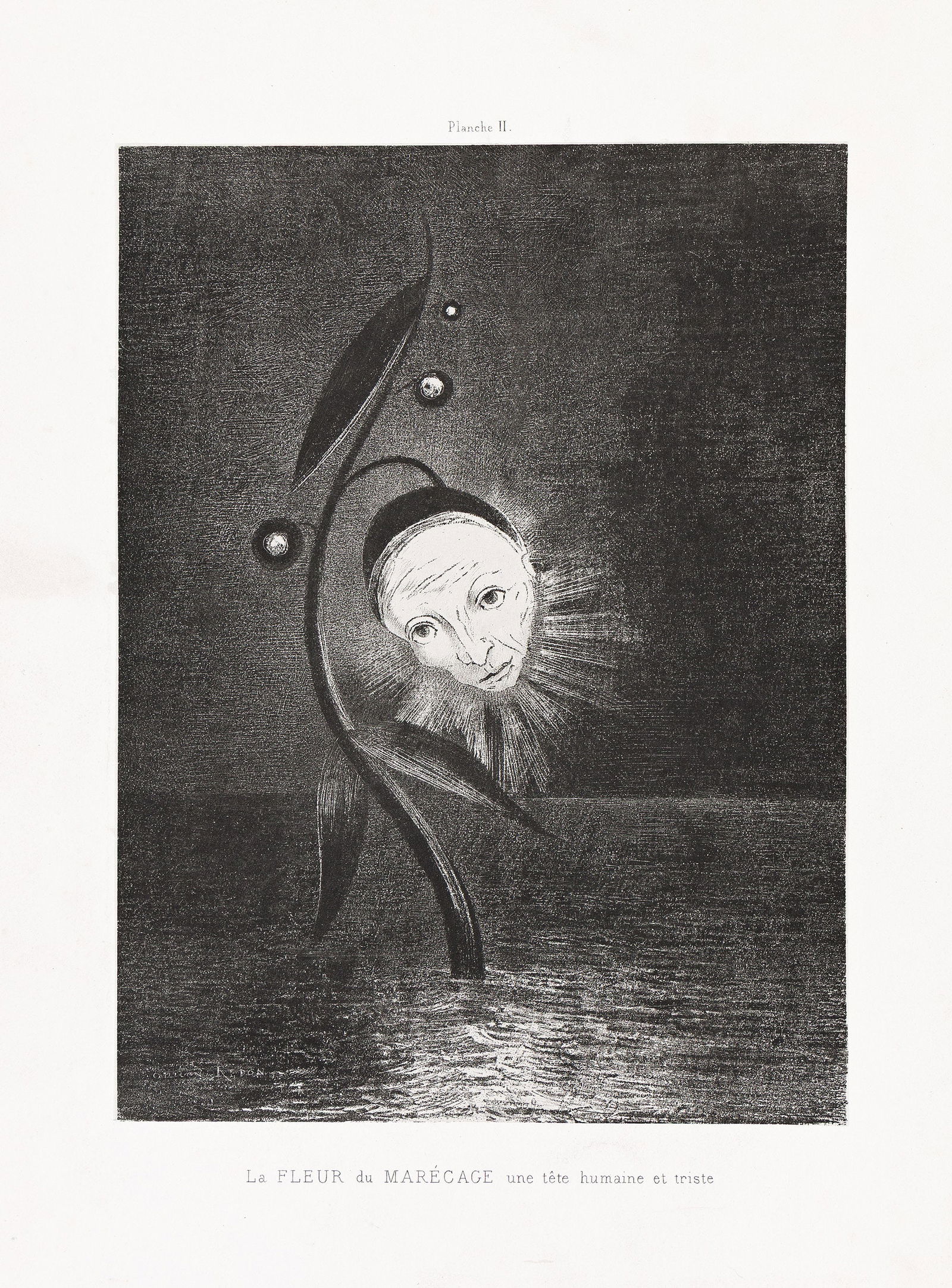 Odilon Redon (1840-1916), Hommage à Goya, 1885. (1 of 6)