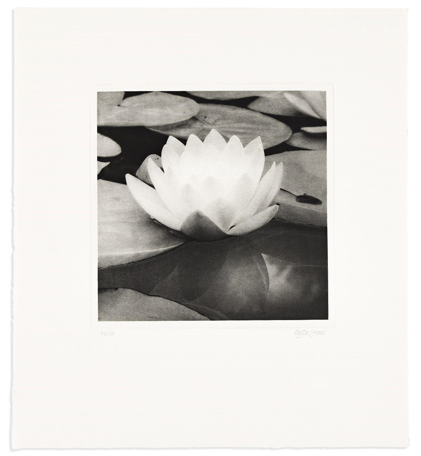 Cy DeCosse (b. 1929) The Gardens of DeCosse. South Dennis, MA: 21st Editions / Steven Albahari, (1 of 1)