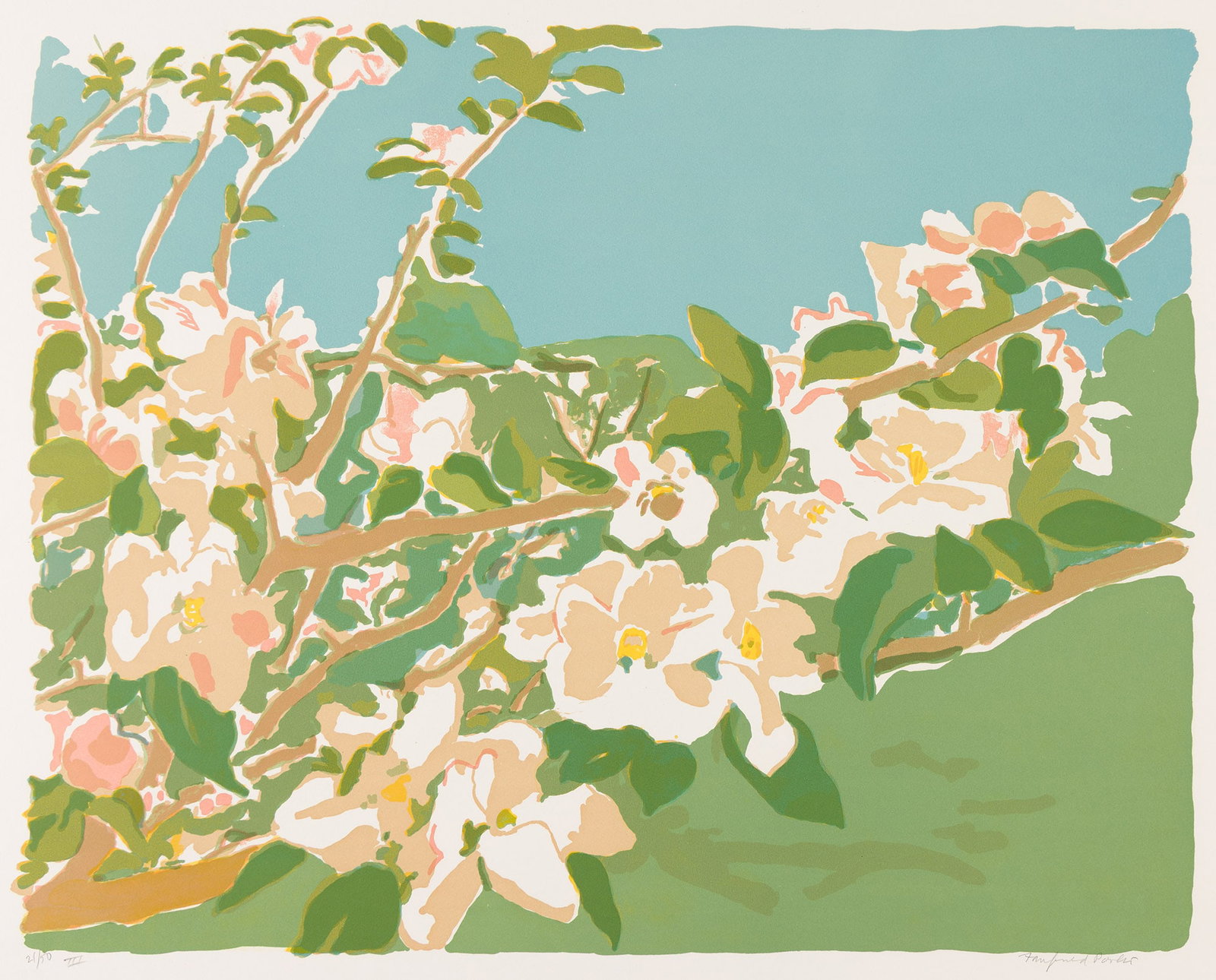 Fairfield Porter (1907-1975), Apple Blossoms III, 1974. (1 of 1)