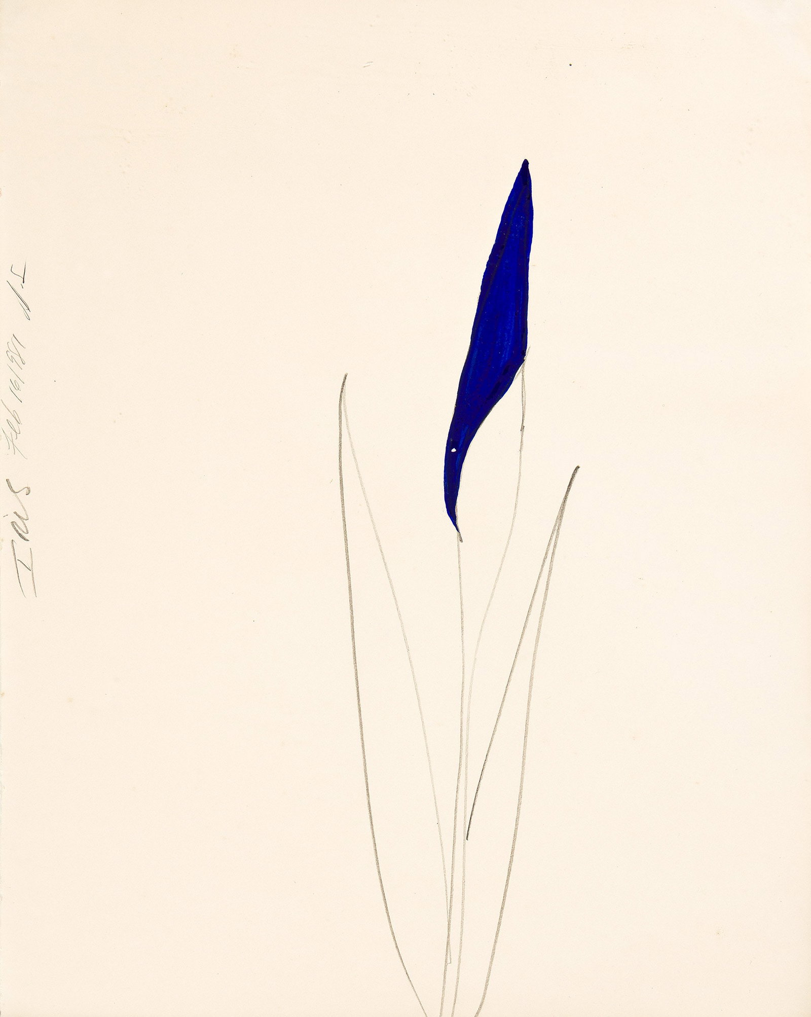 Donald Sultan (b. 1951), Iris, 1981. (1 of 1)