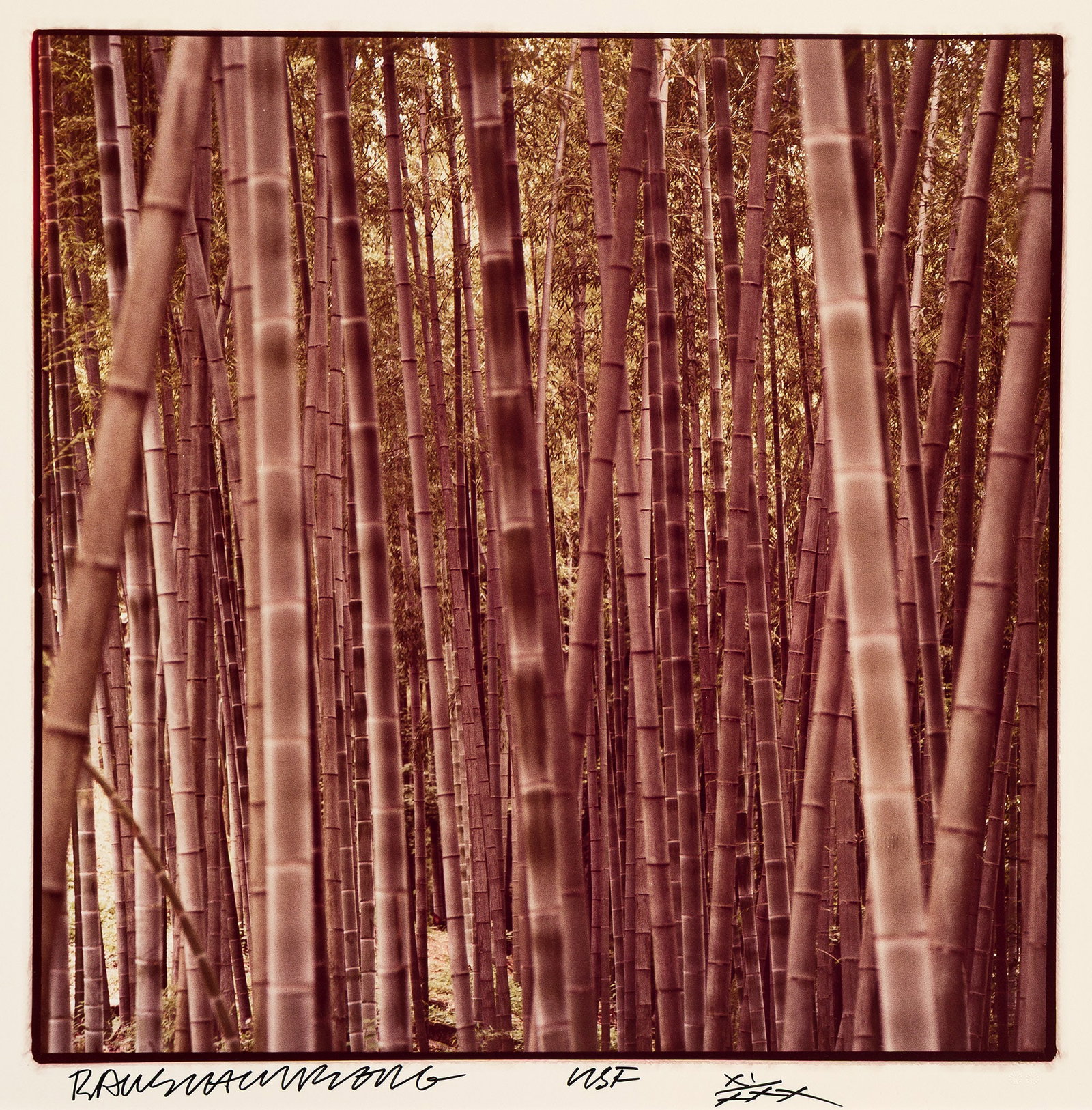 Robert Rauschenberg (1925-2008), Bamboo, 1983. (1 of 1)