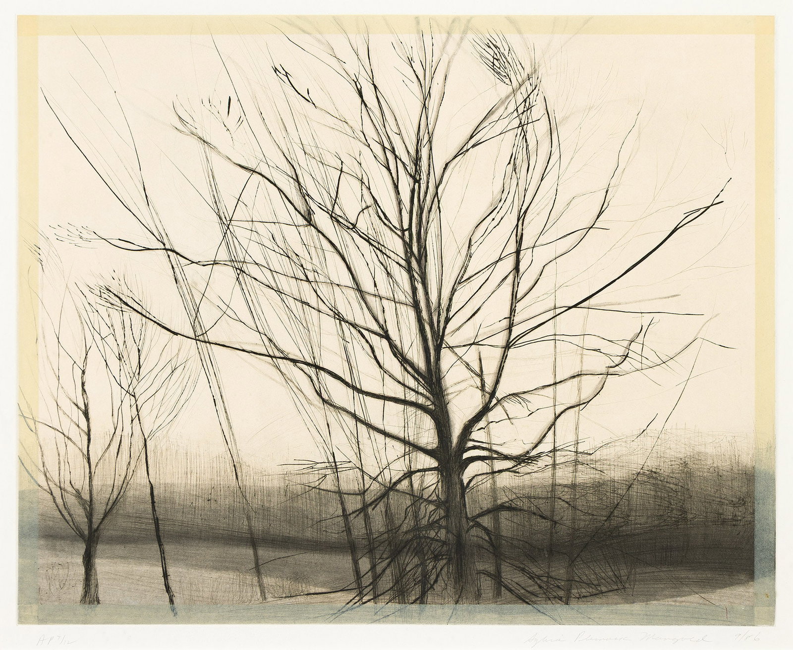 Sylvia Plimack Mangold (b. 1938), The Pin Oak at the Pond, 1986. (1 of 1)