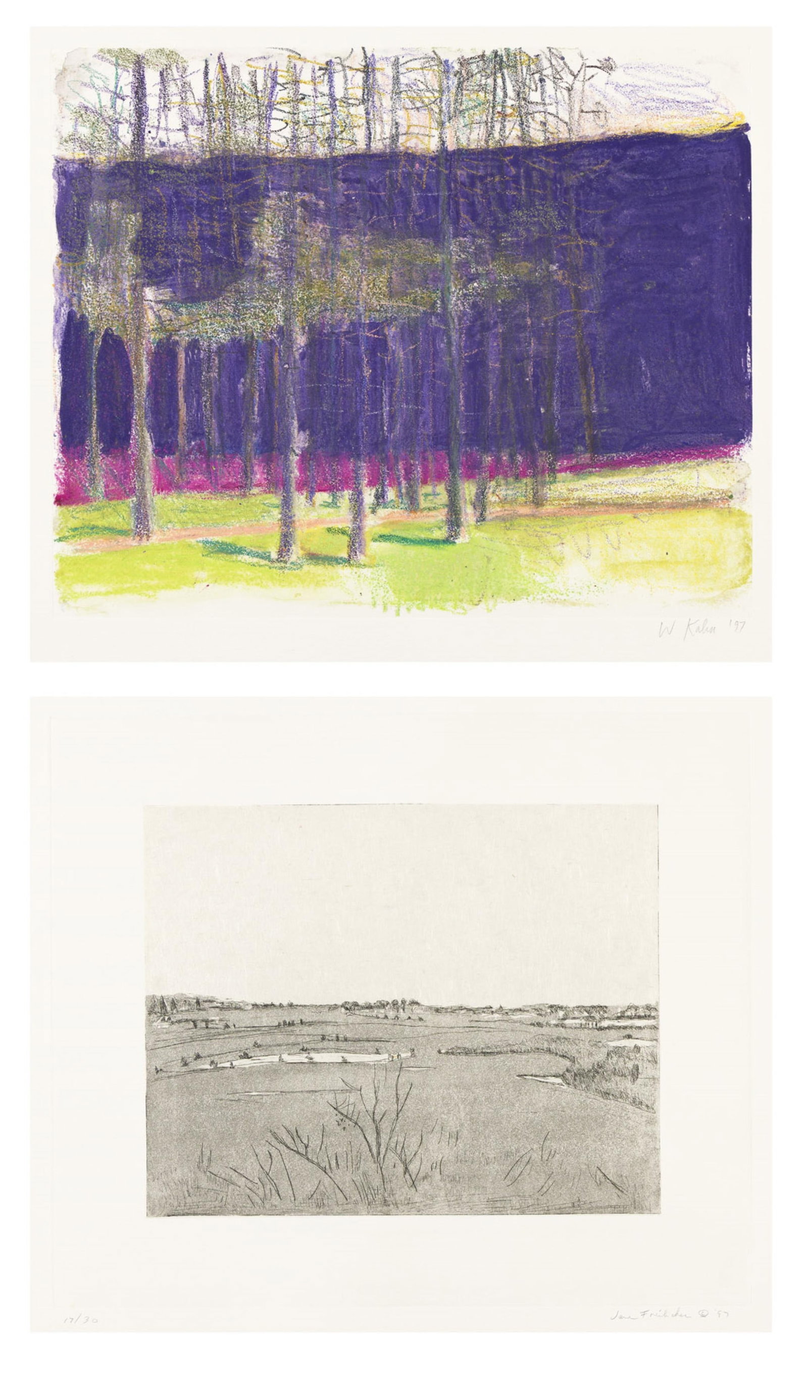 Portfolio, Landscapes: Nature, 1996-97. (1 of 16)