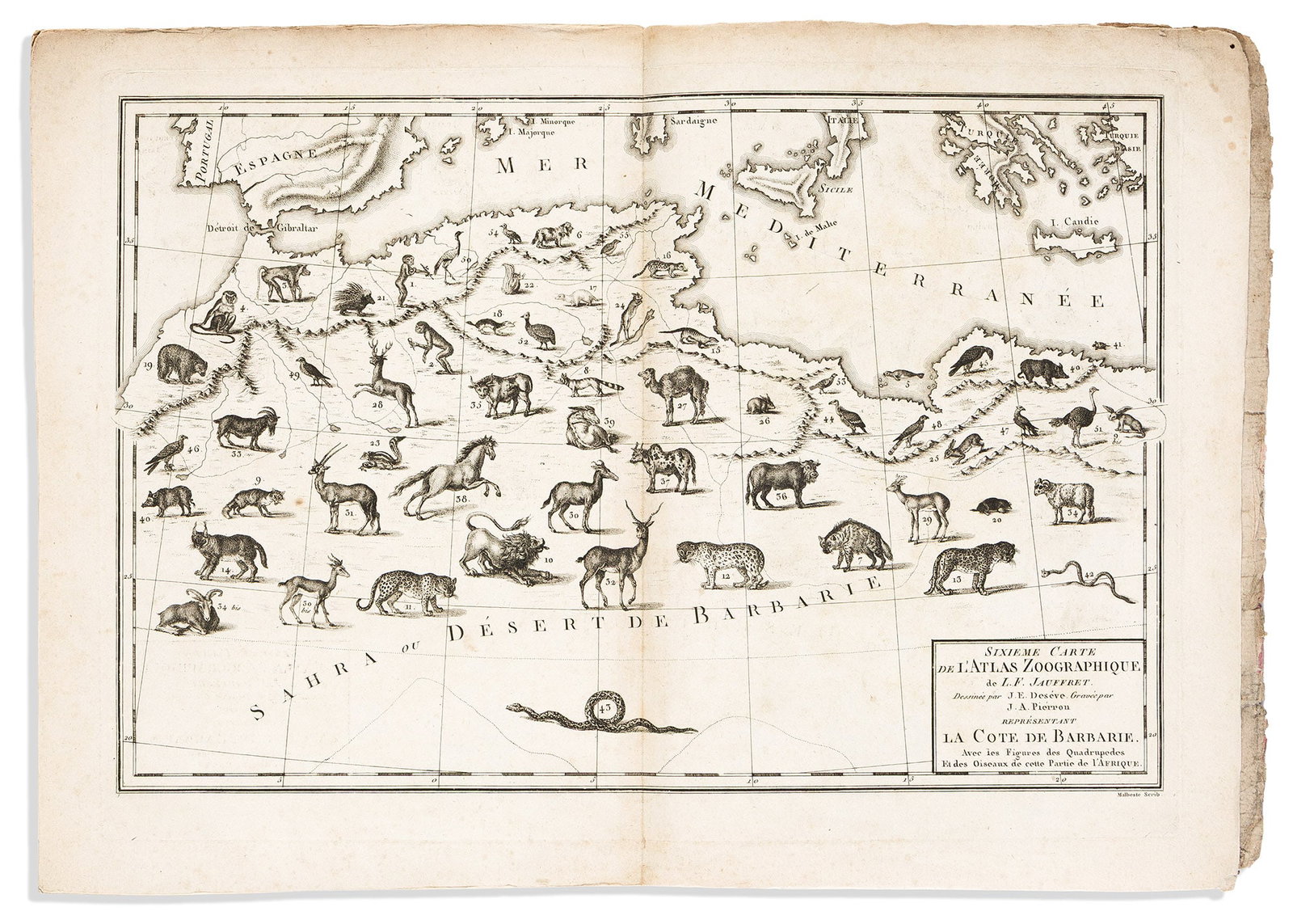 (ANIMAL ATLAS.) Louis Francois Jauffret. Zoographie des Diverses Regions, Tant de L'Ancien que du (1 of 2)