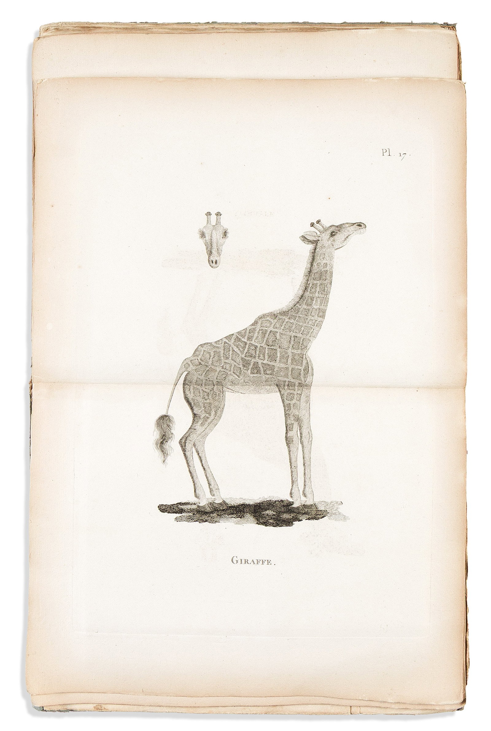 (AFRICA.) James Bruce. Cartes et Figures du Voyage en Nubie et en Abyssinie. Paris: Plassan, 1792 (1 of 2)