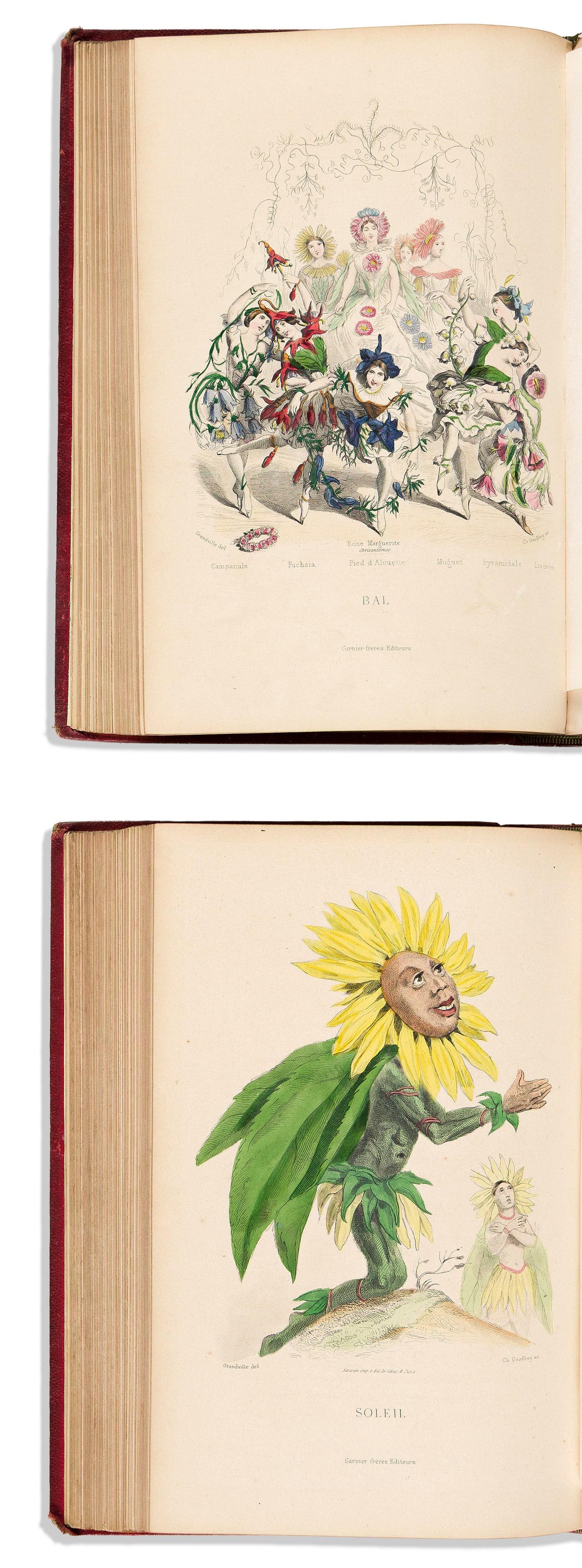 (ANTHROPOMORPHIC BOTANY.) J.J. Grandville. Les Fleurs Animees. Paris: Garnier Freres, 1867 (1 of 2)