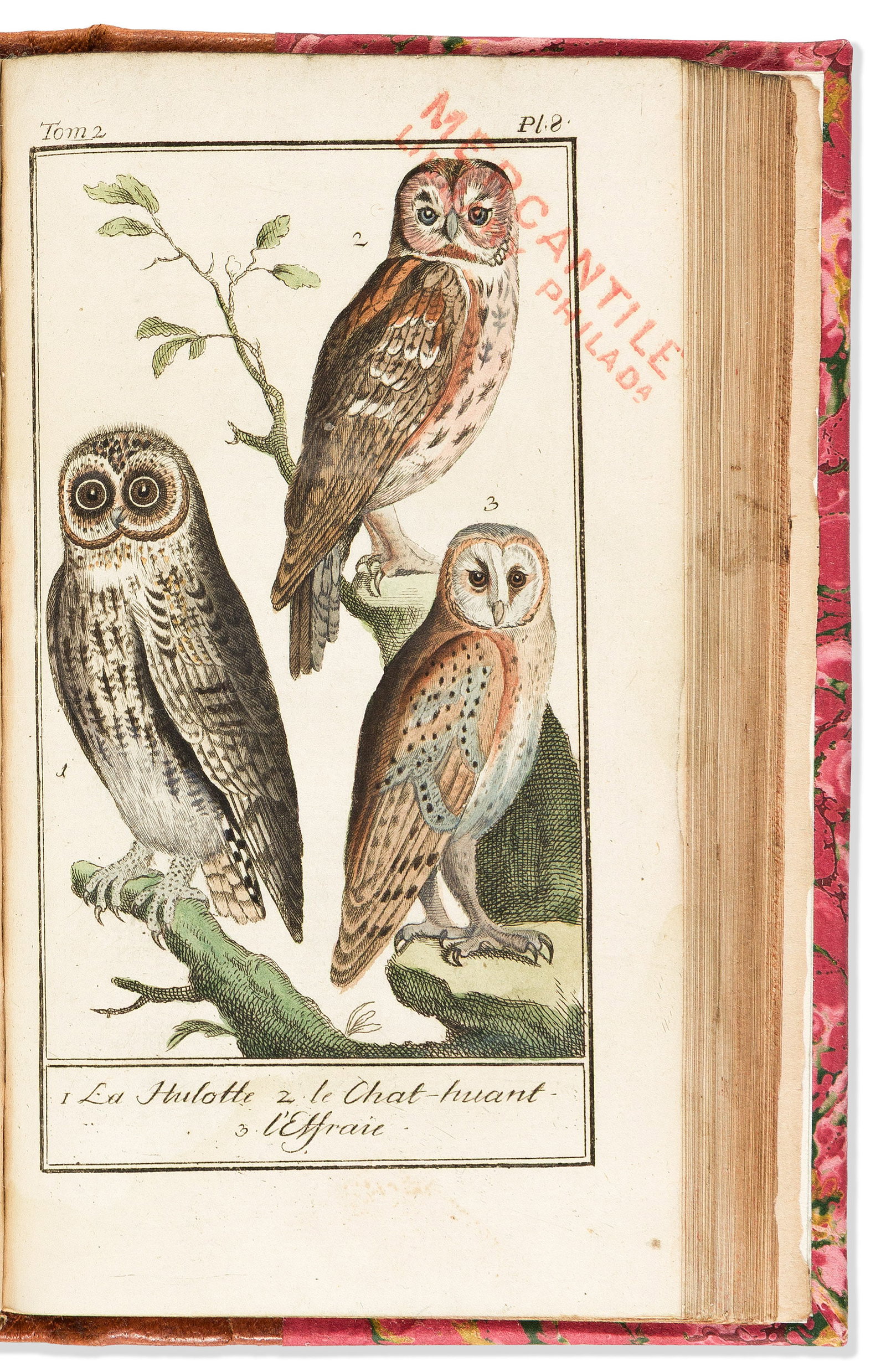 (BIRDS.) Georges Louis LeClerc, Comte de Buffon. Histoire Naturelle, Generale et Particuliere. (1 of 1)