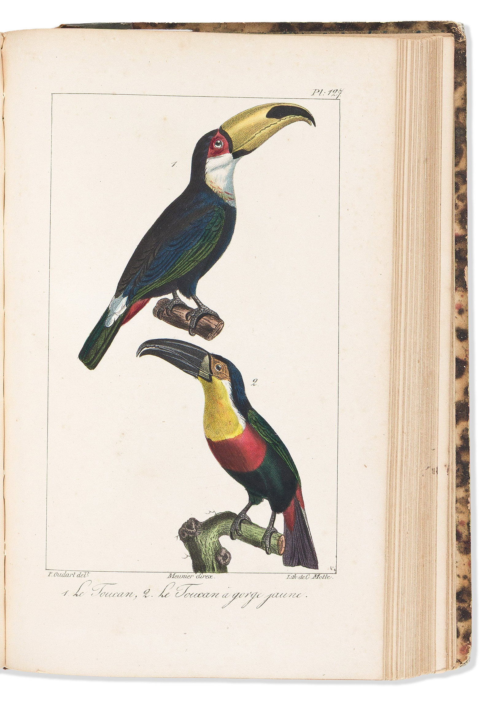 (BIRDS.) Paul-Louis Oudart. Oeuvres Completes de Buffon. Planches Oiseaux. Paris: Ladrange et (1 of 2)