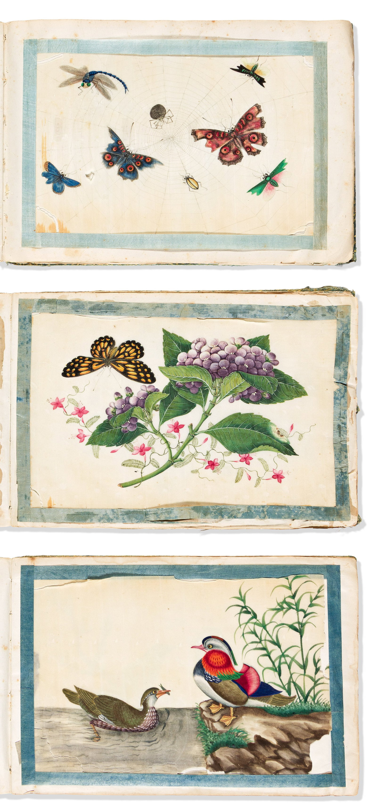 (CHINA TRADE WATERCOLORS.) Three albums of mounted natural history drawings. China, late 19th (1 of 1)