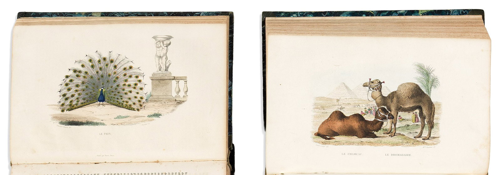 (NATURAL HISTORY.) Georges Louis LeClerc, Comte de Buffon. Oeuvres Completes de Buffon. Paris: (1 of 3)