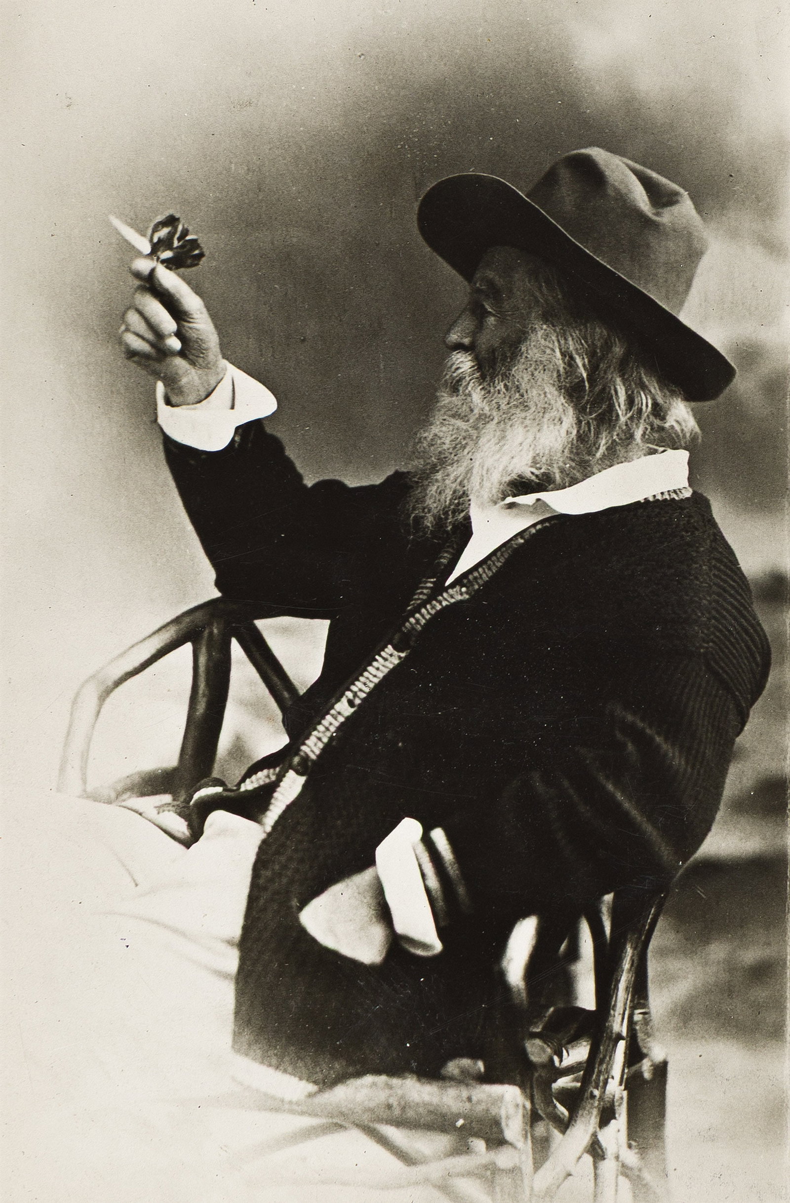 Portrait of Walt Whitman with a butterfly. 1873; printed 1920s. (1 of 1)