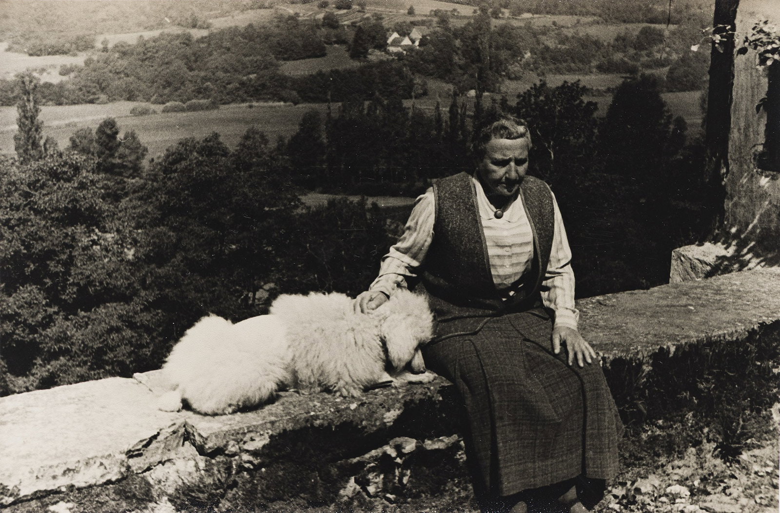 Carl Van Vechten, Gertrude Stein at Bilignin, with Basket. 1934. (1 of 1)