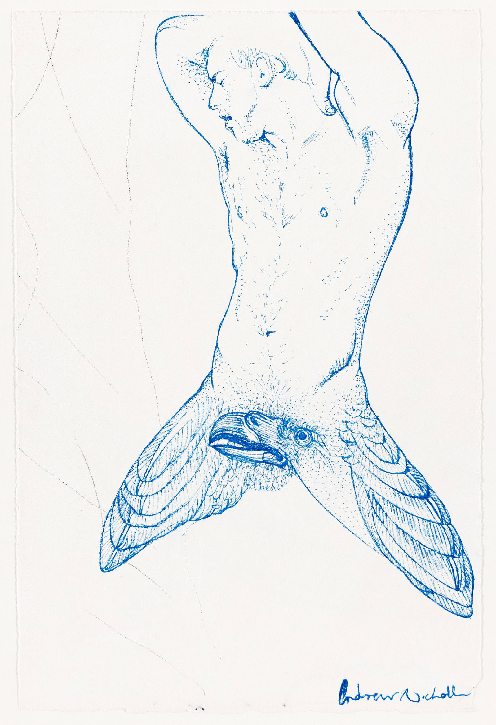 Andrew Nicholls, Nude with Eagle.: Andrew Nicholls (b. 1977) Nude with Eagle. Ink on watercolor paper. Signed, lower right. 11 3/8 x 7 1/2 in. (28.9 x 19.1 cm.) Frame: 15 x 11 in. (38.1 x 27.9 cm.)