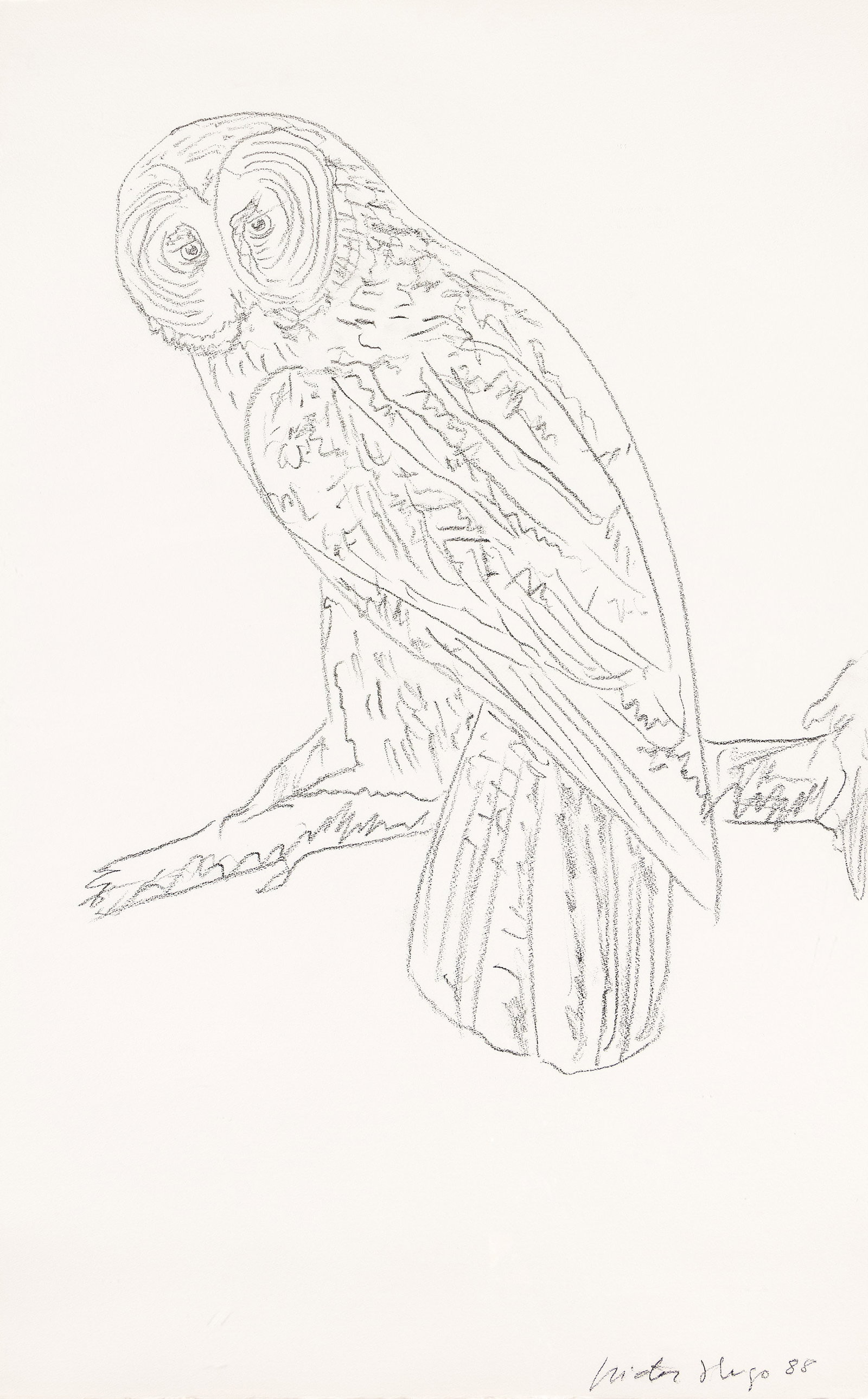 Victor Hugo, Owl. 1988.: Victor Hugo 1948-1994 Owl. 1988. Charcoal on Arches Aquarelle. Signed and dated, lower right. 40 1/2 x 25 7/8 in. (102.9 x 65.7 cm.) Frame: 41 1/8 x 32 3/8 in. (104.5 x 82.2 cm.)