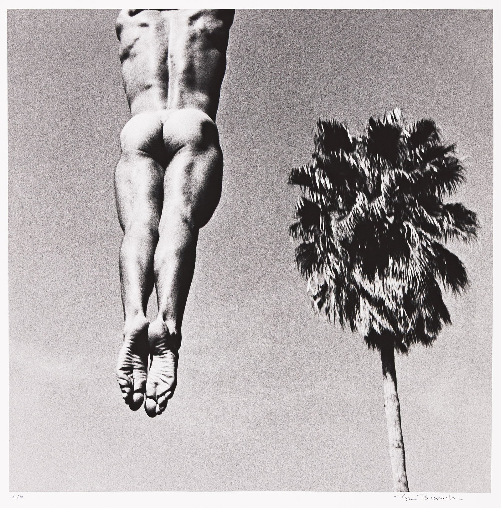 Tom Bianchi, Nude study (jump and palm tree). Circa 1992. (1 of 1)