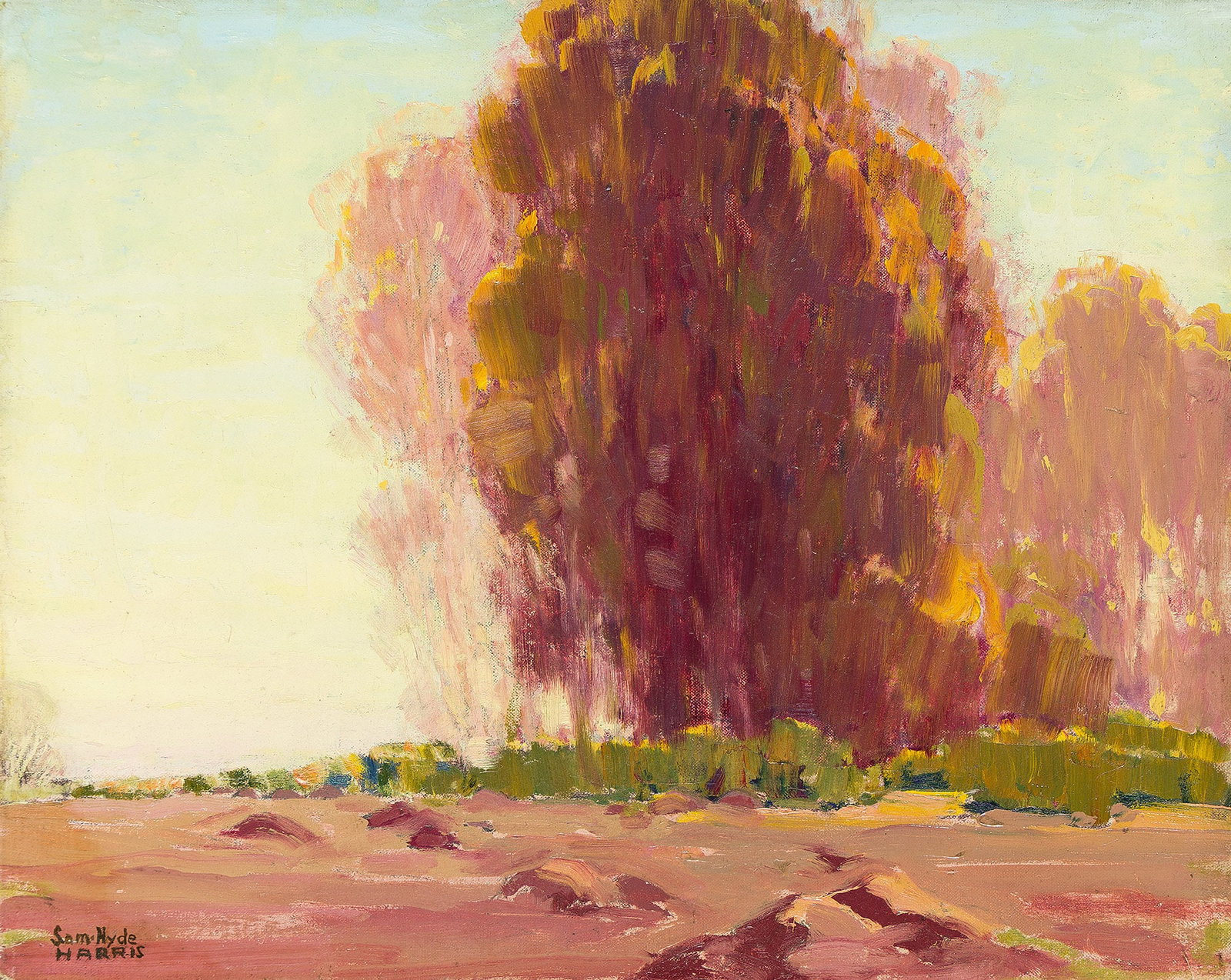 Samuel Hyde Harris (1889-1977), Tree in a Landscape.: Samuel Hyde Harris (1889-1977) Tree in a Landscape. Oil on board. Signed lower left. Numbered "239" in pencil, verso. 16 x 20 in. (40.7 x 50.5 cm.) Frame: 23 x 27 in. (58.4 x 68.6 cm.) Proven