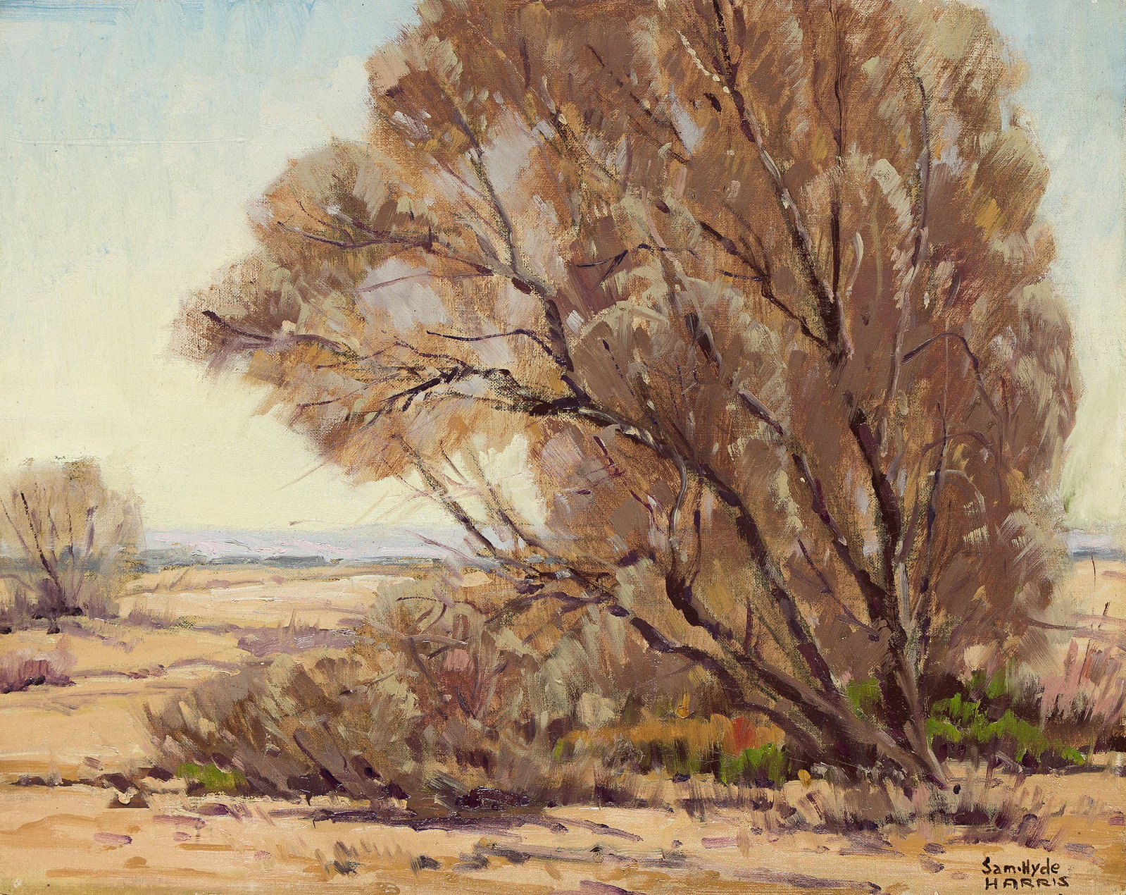 Samuel Hyde Harris (1889-1977), Desert Survivor.: Samuel Hyde Harris (1889-1977) Desert Survivor. Oil on canvas board. Signed lower right. Titled and numbered "1120" in ink, verso. 16 x 20 in. (40.5 x 51 cm.) Frame: 23 x 27 in. (58.4 x 68.6 cm.)