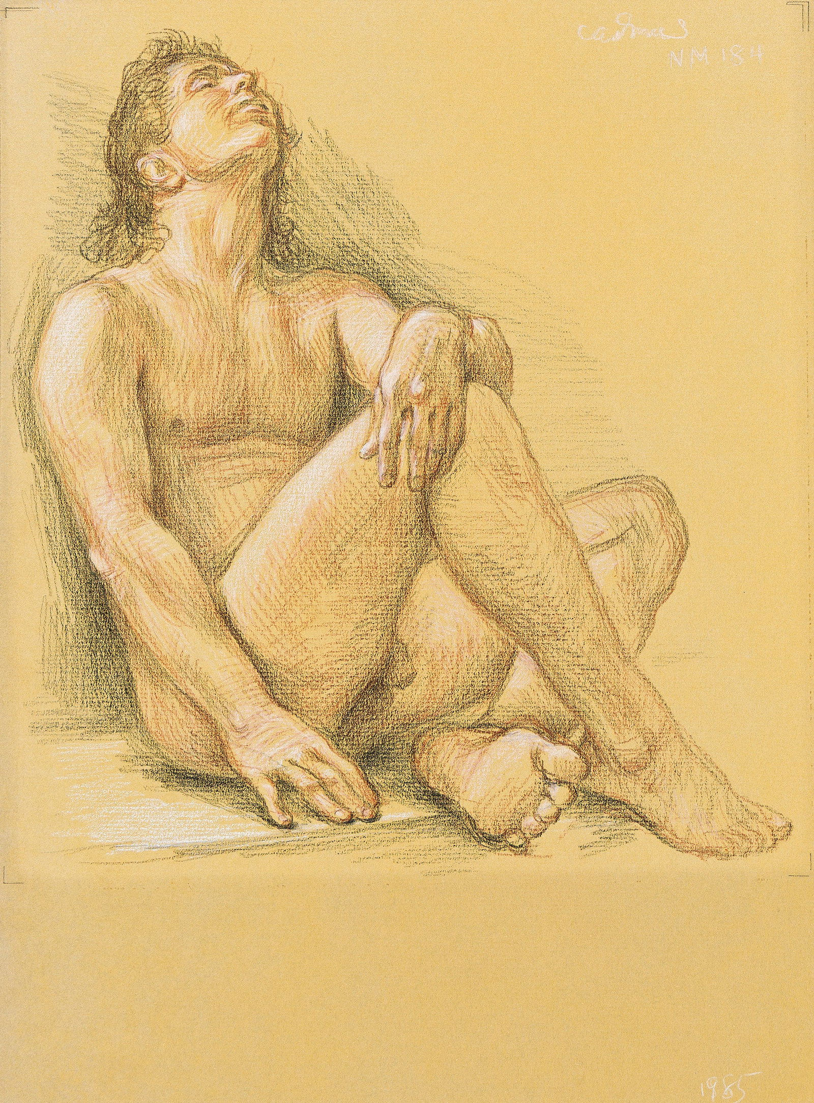 Paul Cadmus (1904-1999), Male Nude (NM 184), 1985.: Paul Cadmus (1904-1999) Male Nude (NM 184). Crayon on hand-toned paper, 1985. Signed and inscribed "NM 184," upper left. Dated lower right. 14 3/8 x 10 1/4 in. (36.5 x 25.8 cm.) Frame: 26 1/2 x 20 1