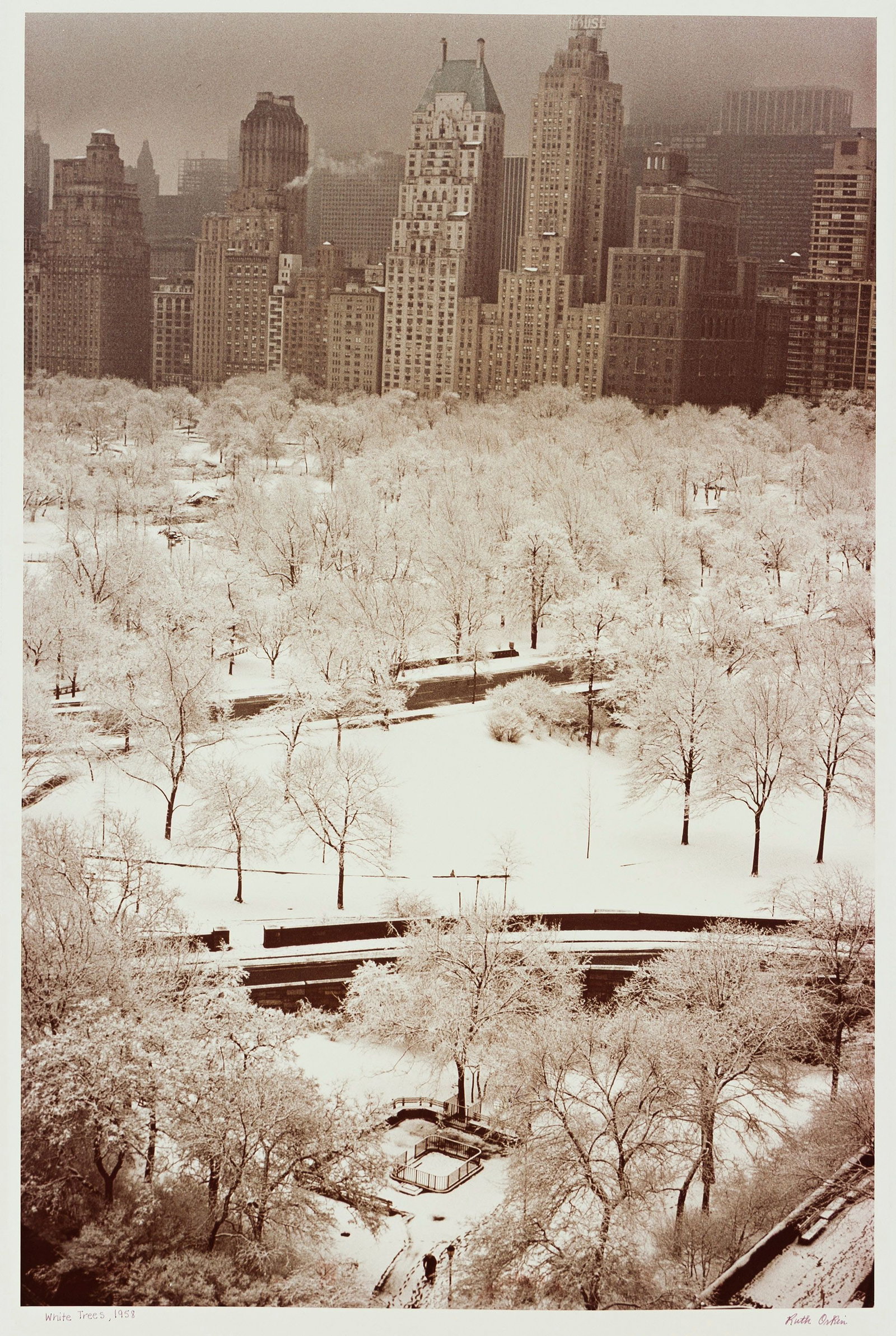 Ruth Orkin, White Trees, 1958; printed 1978. (1 of 1)