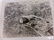 Lot of Military Photographs Circa 1940's and a Post - 3