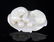 A FINE TWO ANIMAL CARVING PALE CELADON JADE PENDANT - 3