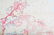 A OLD CHINESE ARMY LONG MARCH MAP - 4
