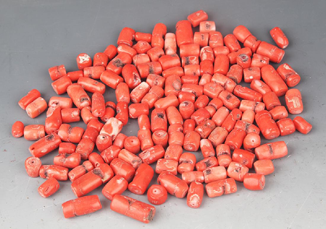 GROUP OF OLD CORAL: Modern, Long:0.5â€”1 inch