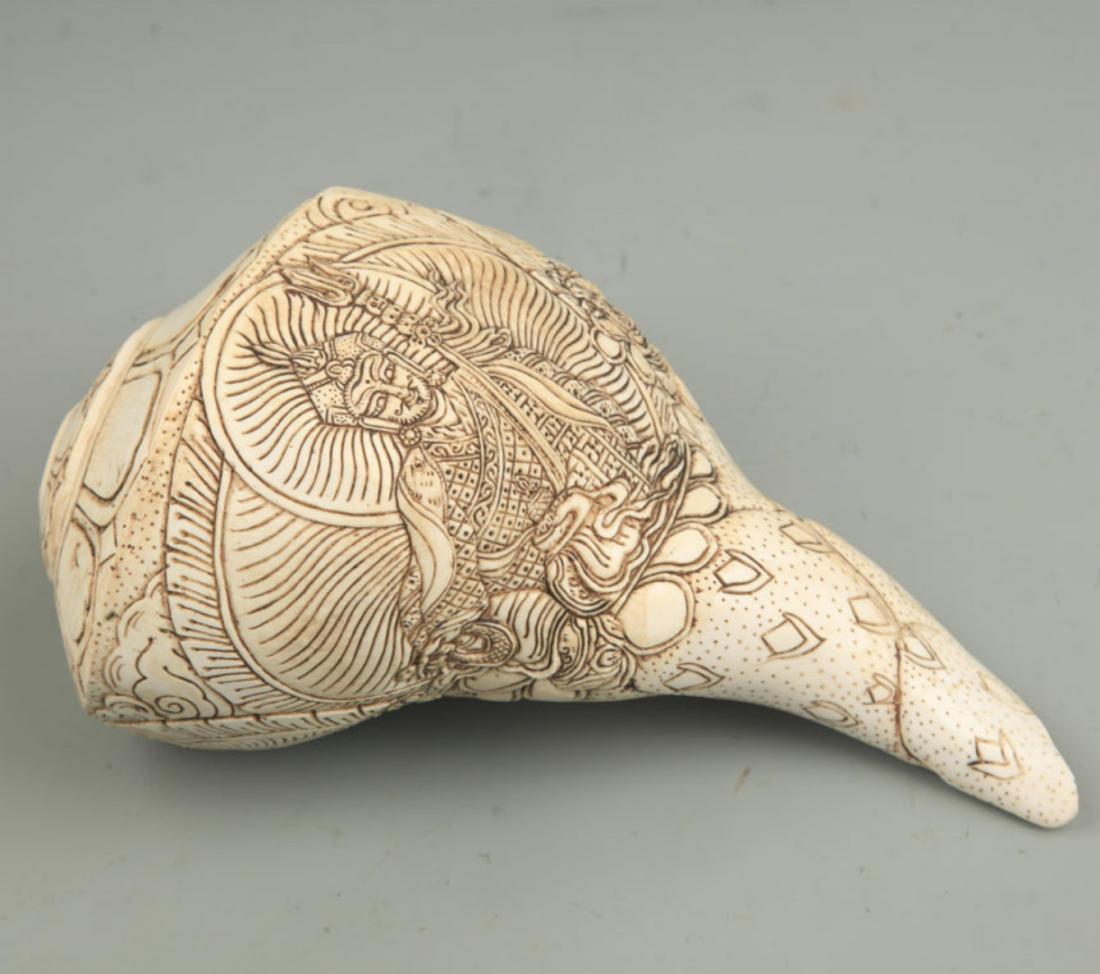 A FINE SEA SHELL CARVING CONCH (1 of 7)