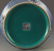 BLUE GLAZED FAIENCE COLOR FLOWER AND BIRD WOODEN CLUB - 5
