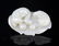 A FINE TWO ANIMAL CARVING PALE CELADON JADE PENDANT - 3