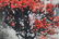 WANG CHEN XI CHINESE PAINTING, ATTRIBUTED TO - 4